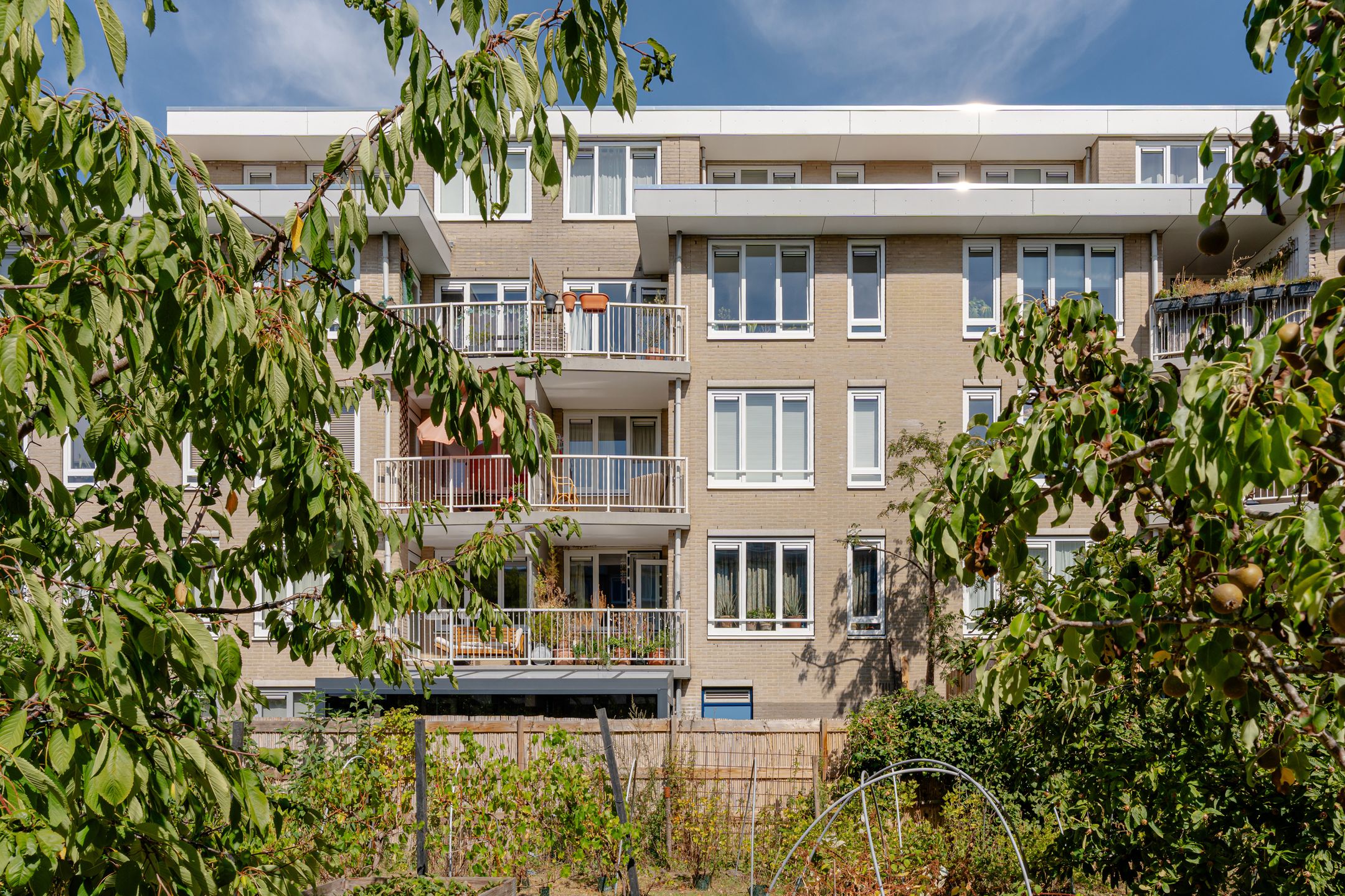Foto van Jacob Burggraafstraat 42, Amsterdam