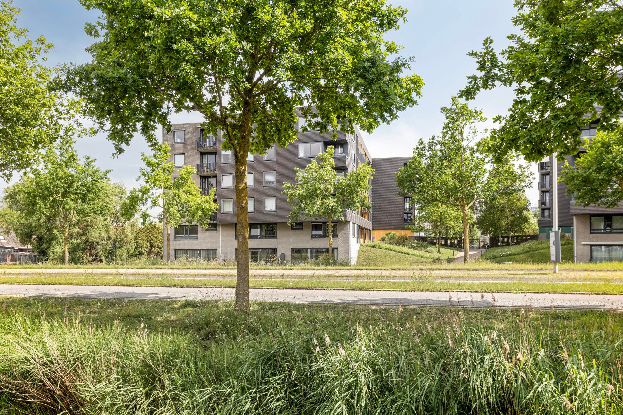 Foto van Ladogameerhof 21, Amsterdam