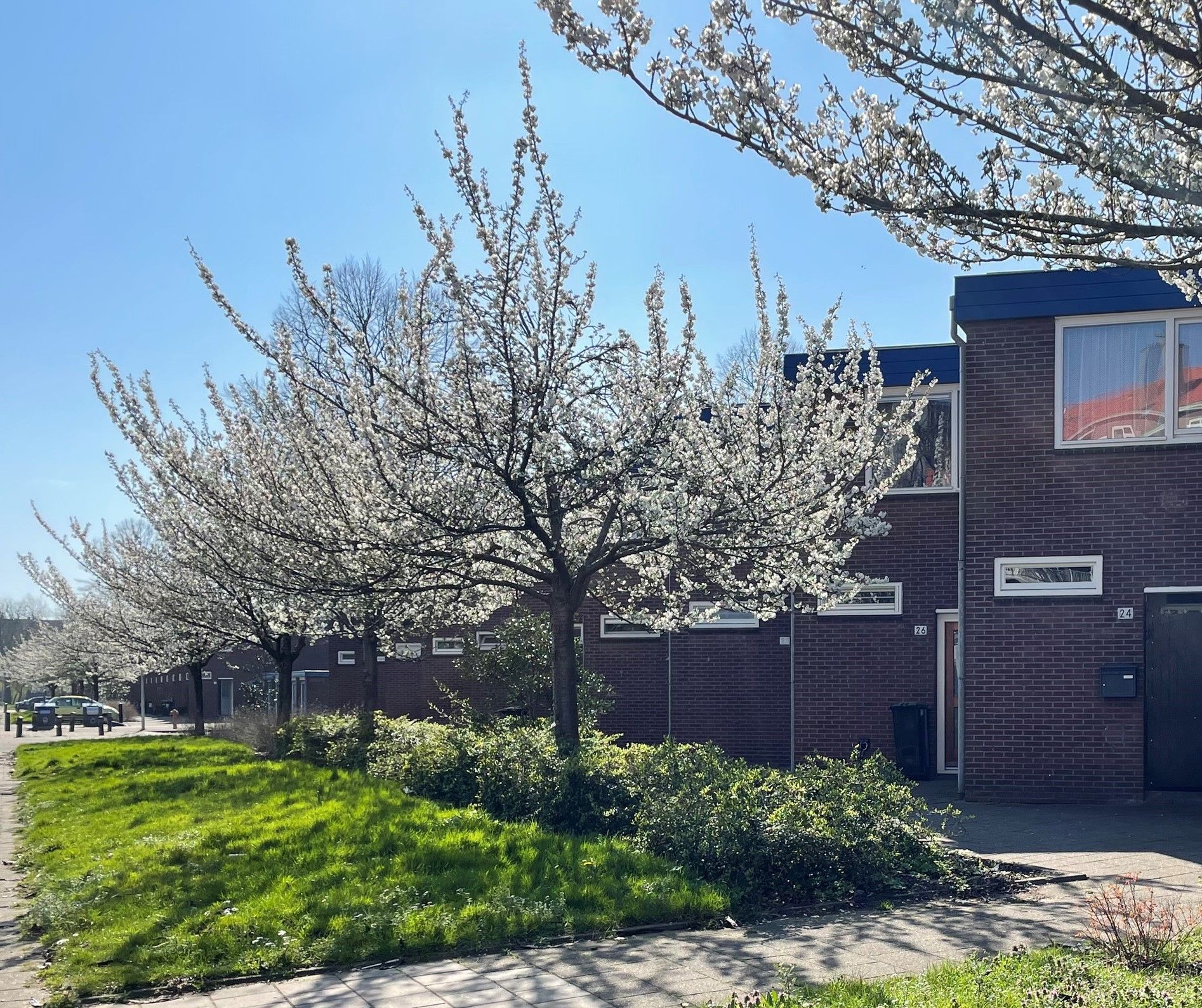 Foto van Theodorus Majofskistraat 38, Amsterdam