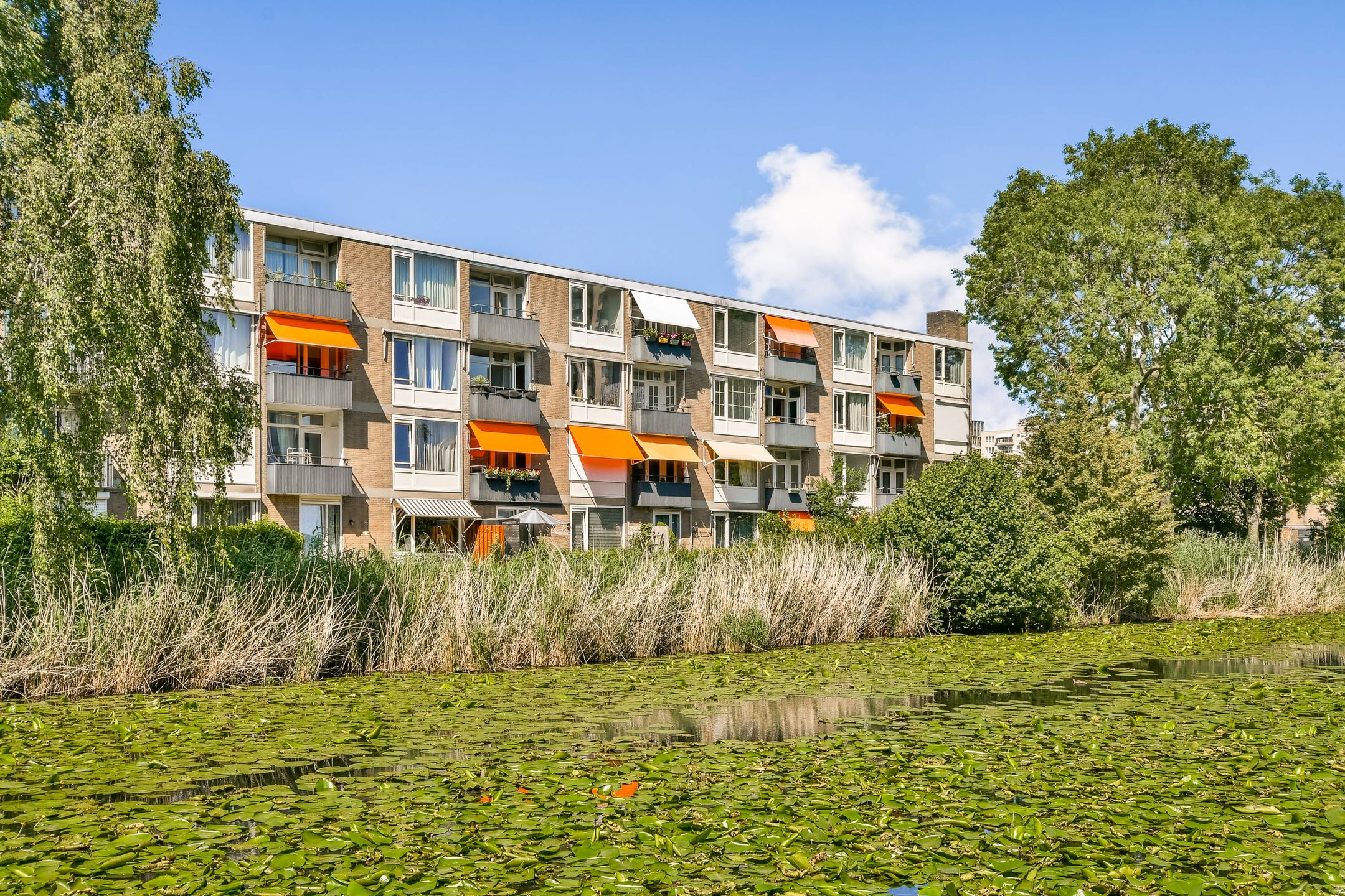 Foto van Frieslandstraat 143, Amsterdam