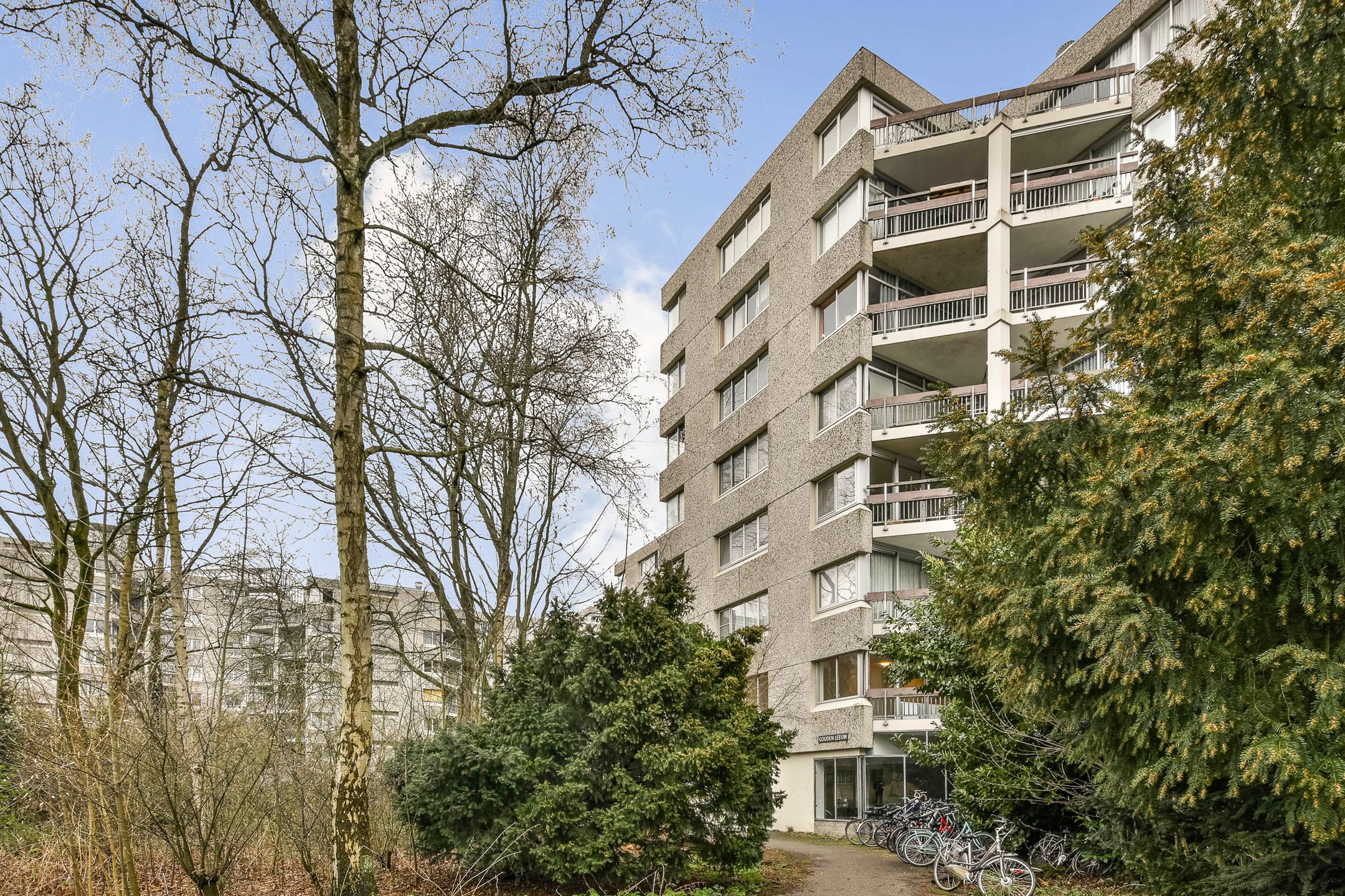 Foto van Gouden Leeuw 1006, Amsterdam