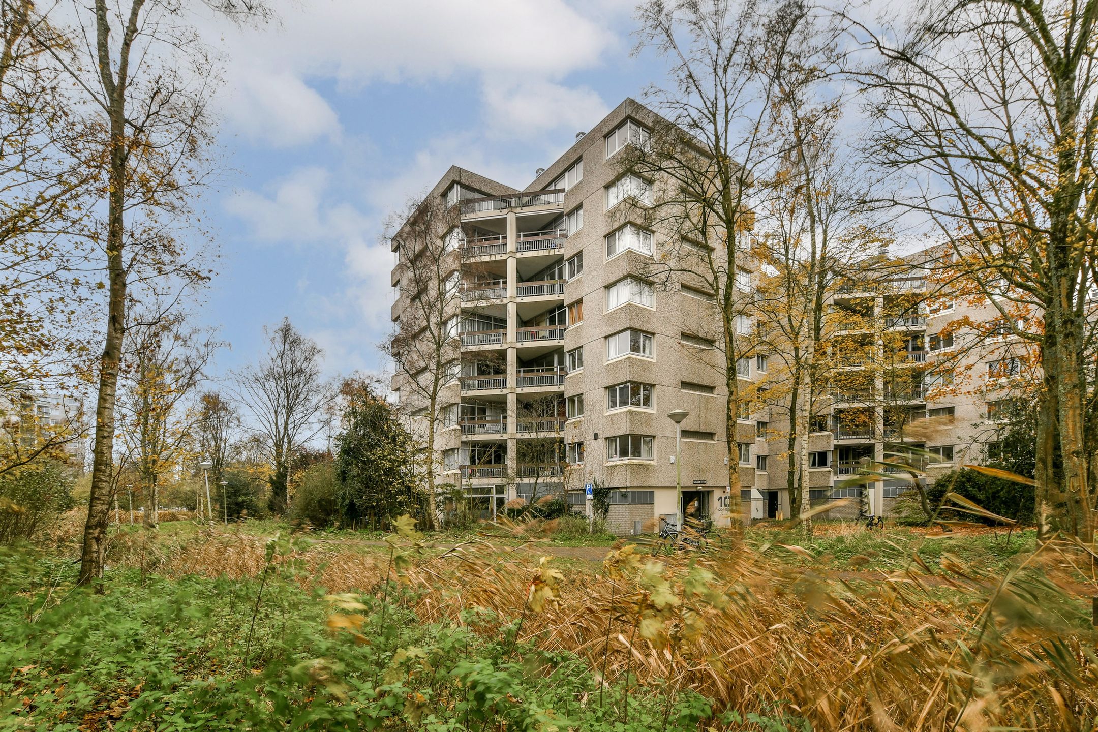 Foto van Gouden Leeuw 1019, Amsterdam