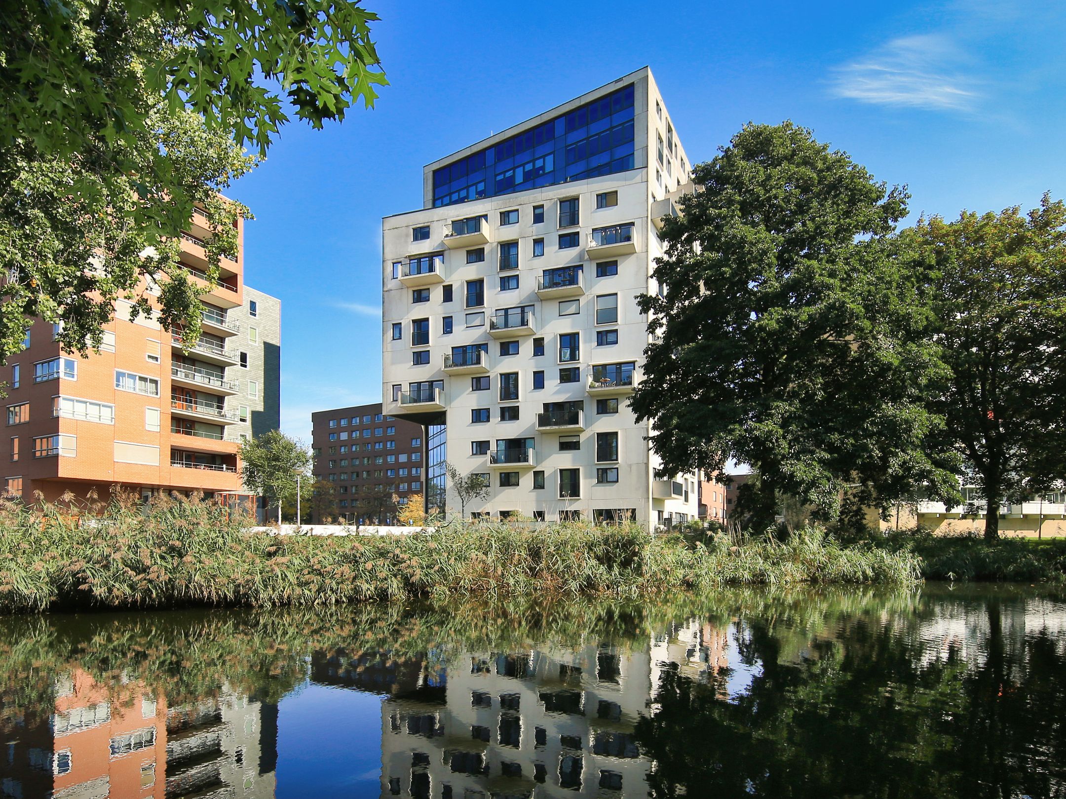 Foto van Berkenplein 241, Diemen