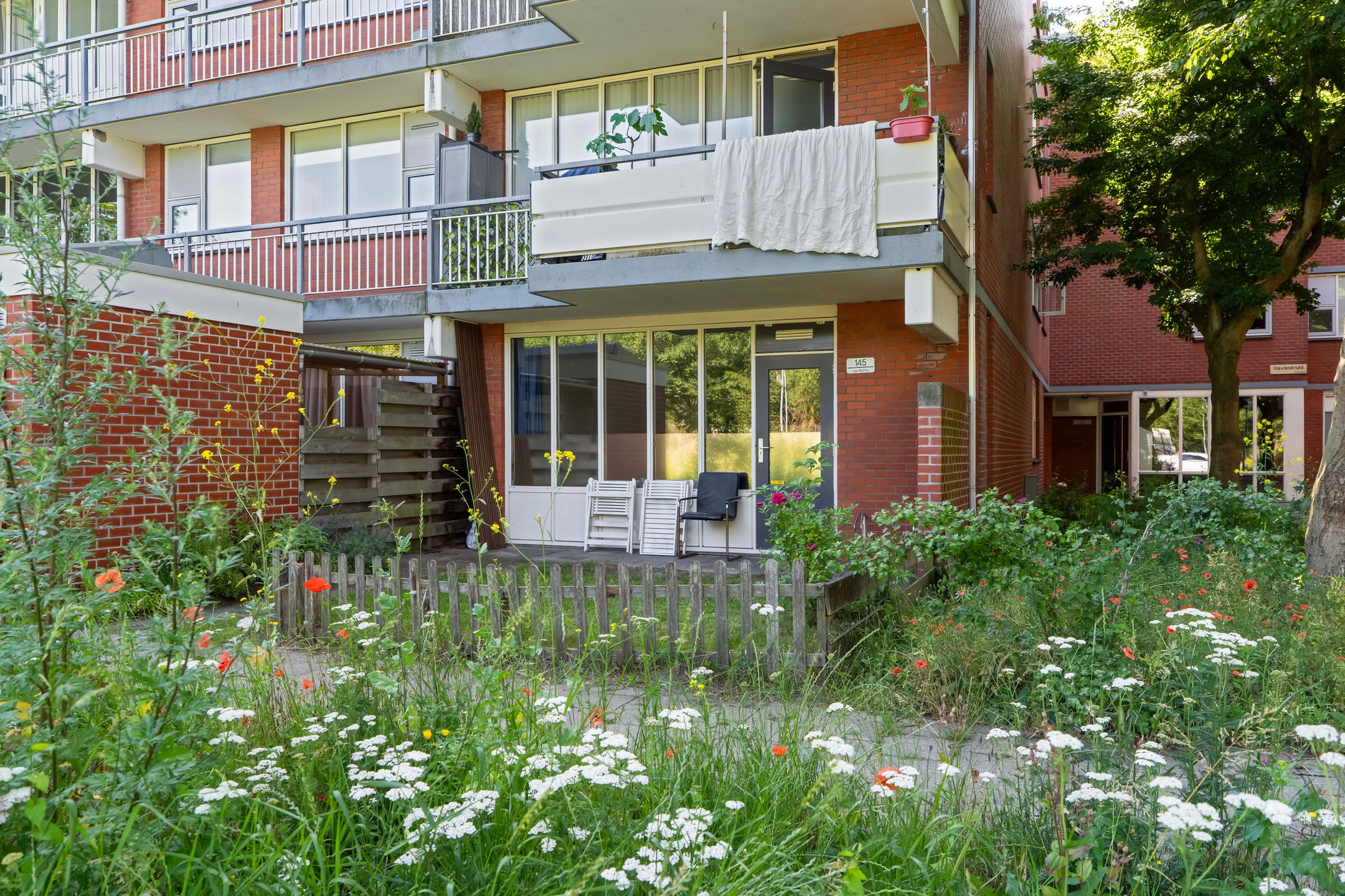 Foto van Havikskruid 145, Diemen