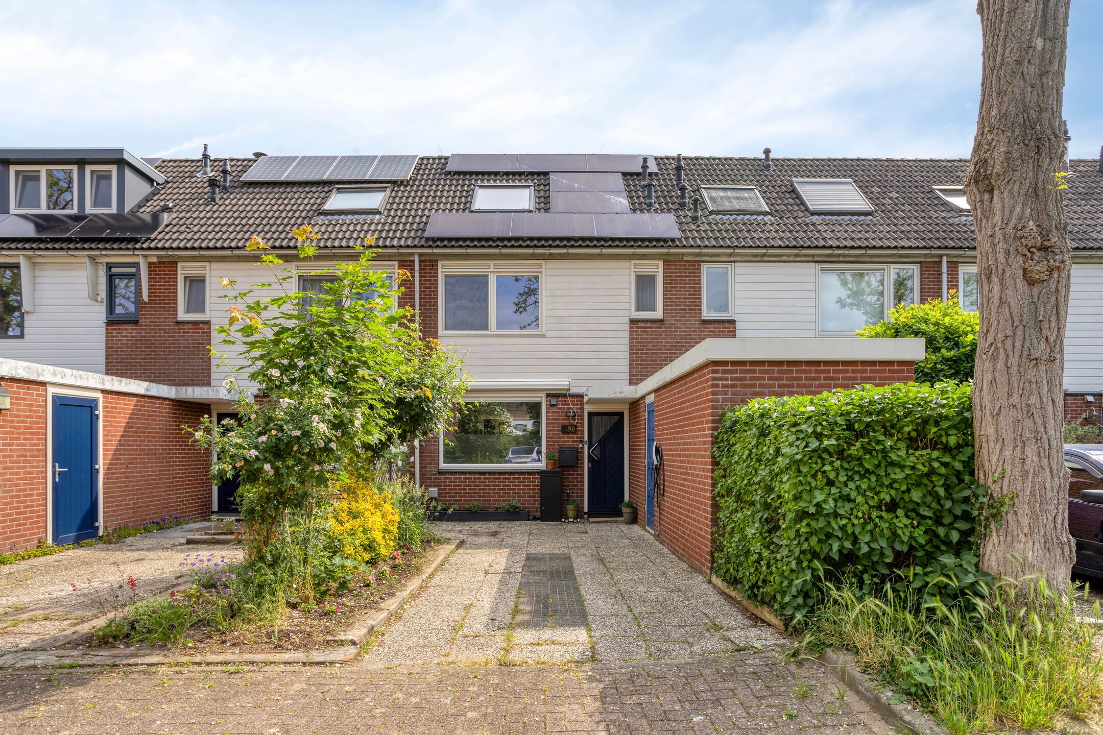 Foto van Knoopkruid 86, Diemen