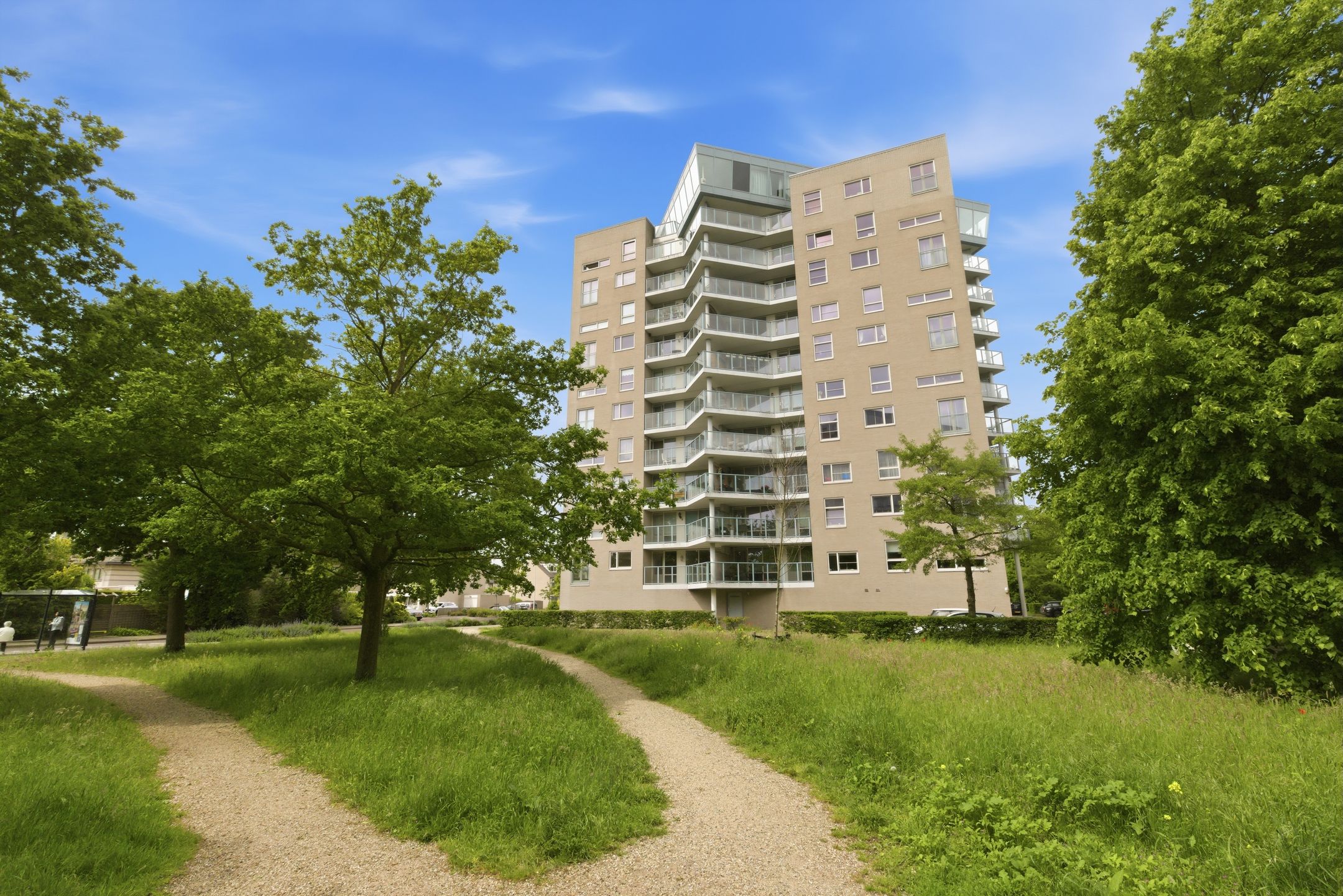 Foto van Meerkoet 379, Diemen