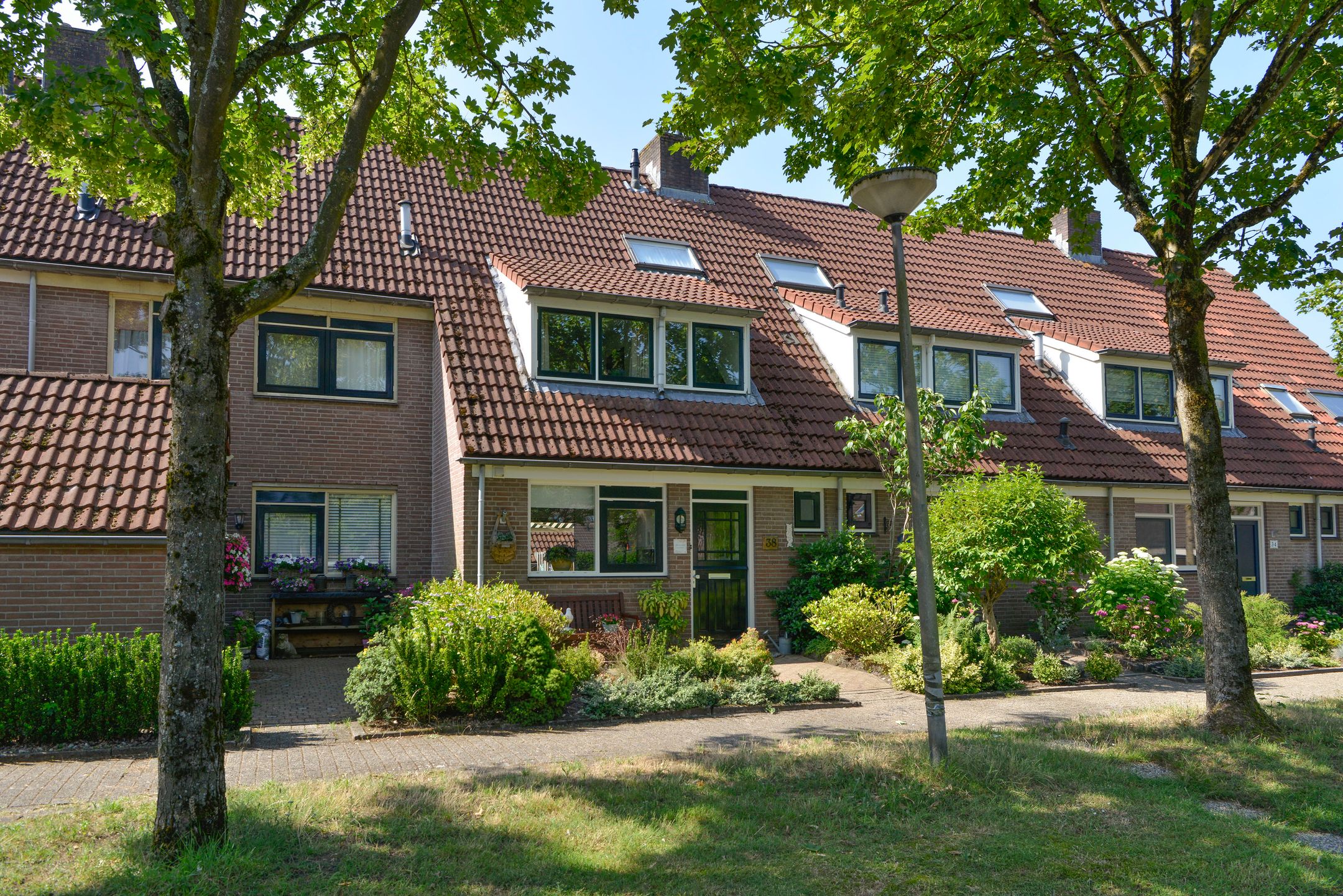 Foto van Stam 38, Huizen