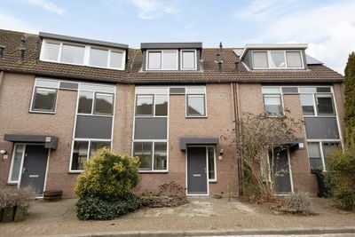 Foto van Waterhoen 3, Muiderberg