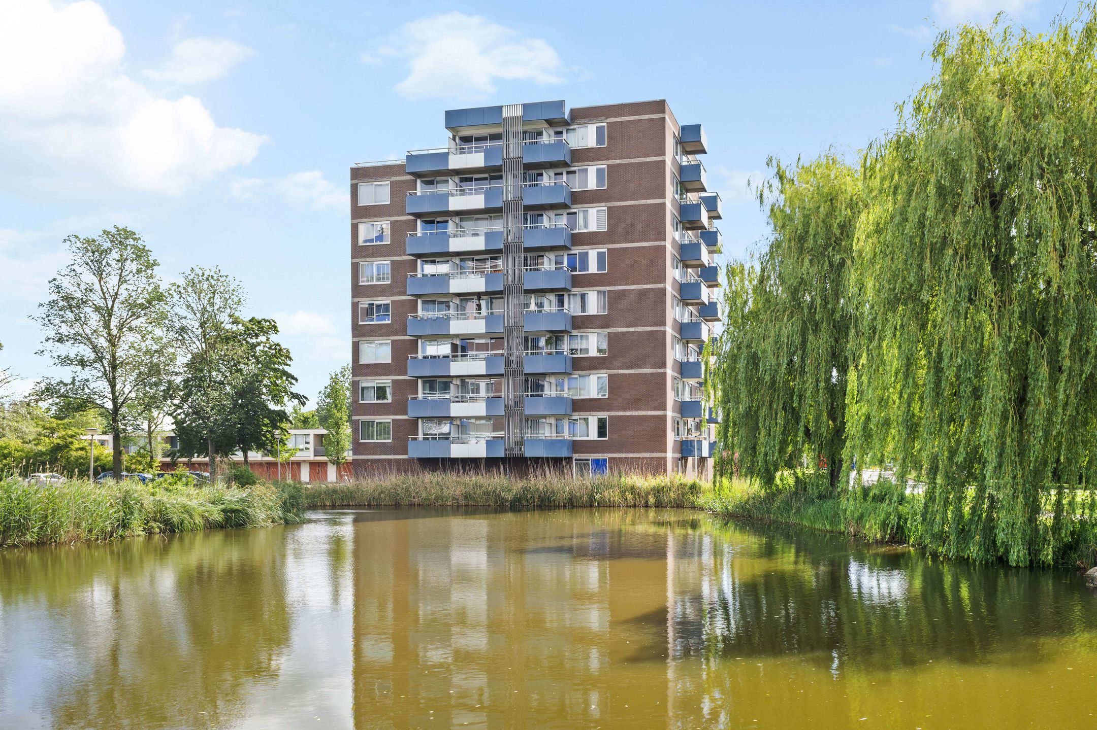Foto van Boterbloem 84, Uithoorn