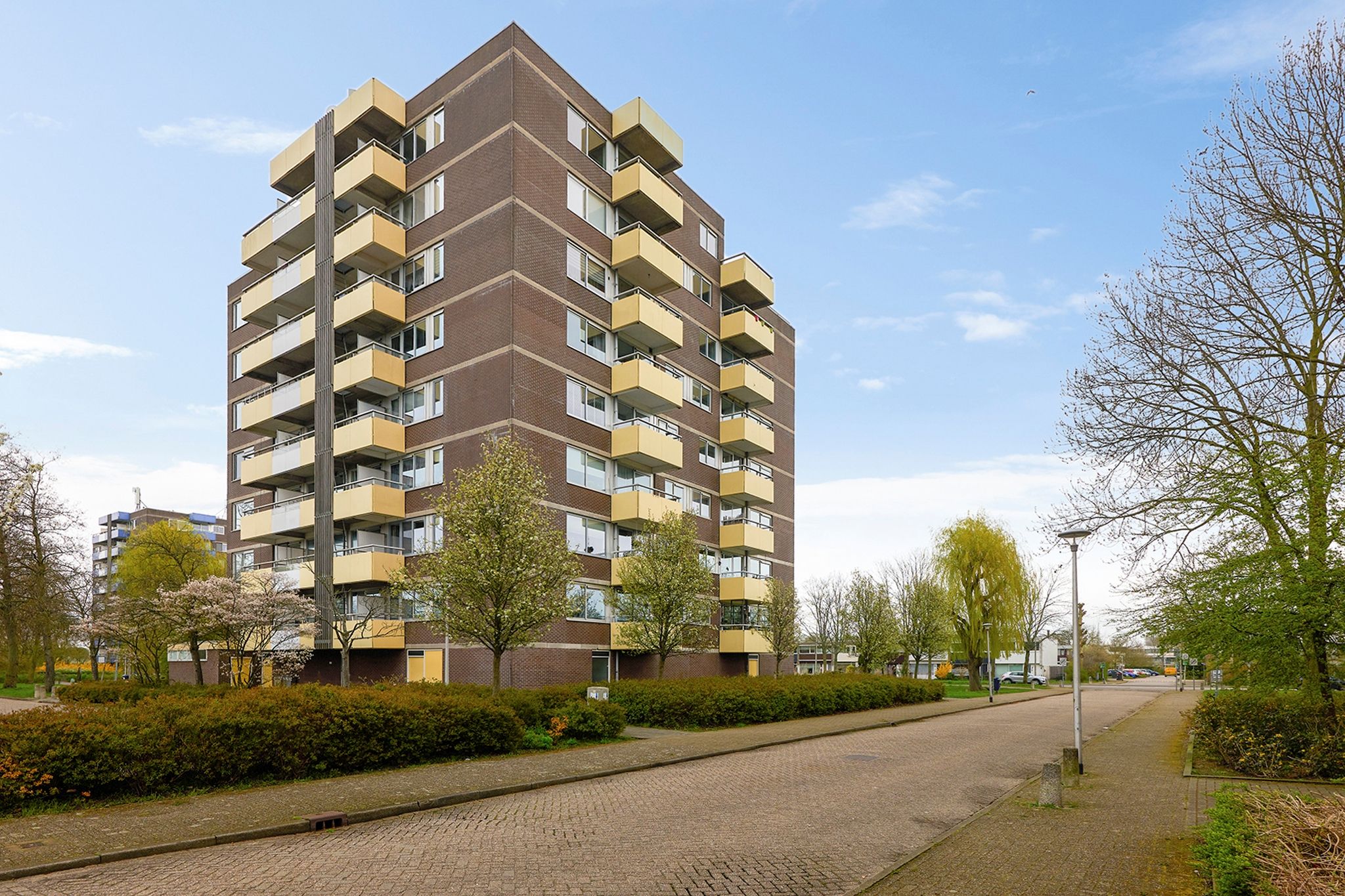 Foto van Madelief 14, Uithoorn