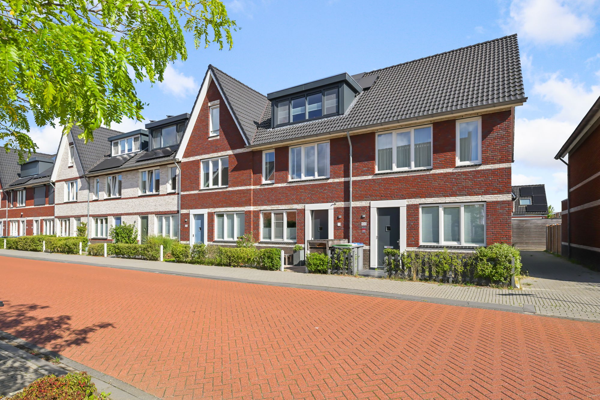 Foto van Knobbelzwaan 102, Uithoorn