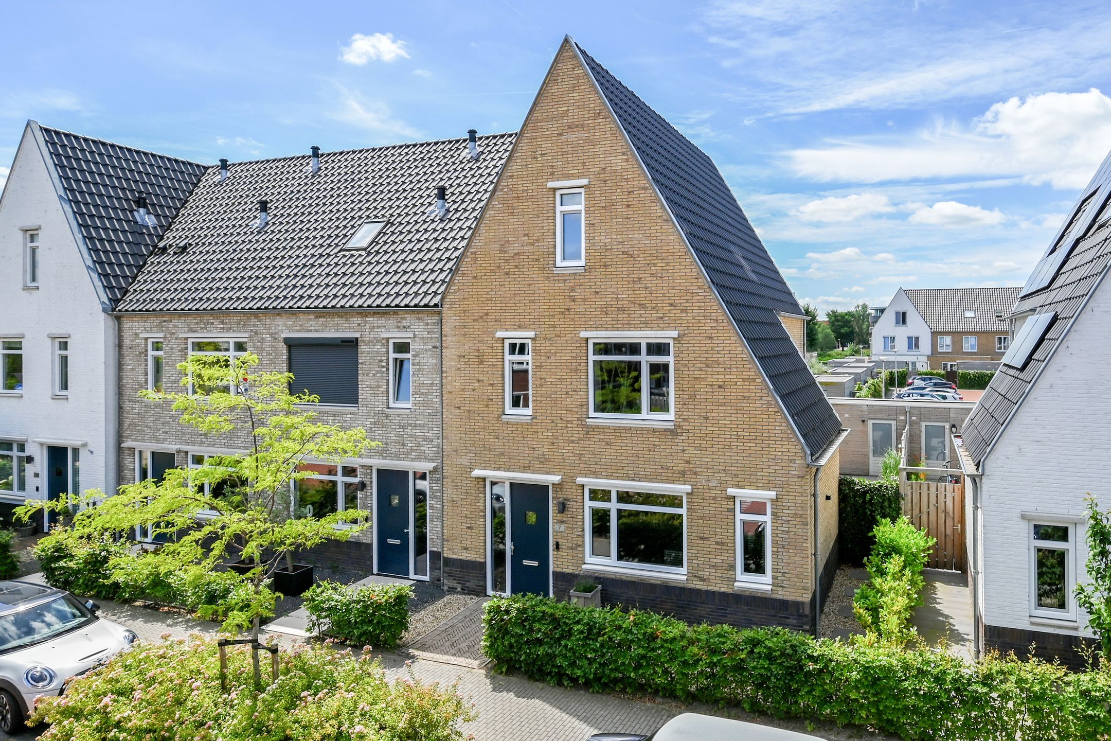 Foto van Knobbelzwaan 7, Uithoorn