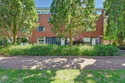 Foto van Noorse Lijster 3, Uithoorn