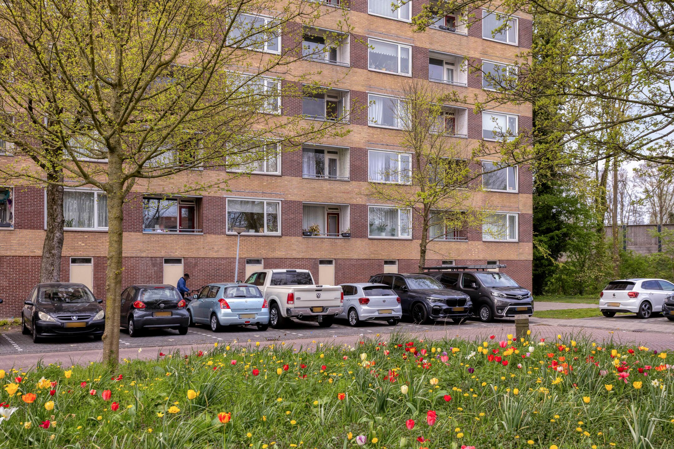 Foto van Fluitekruidweg 17, Zaandam