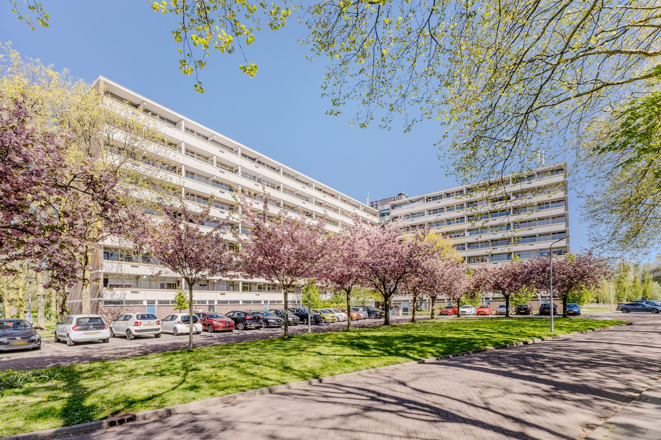Foto van Pinksterbloemweg 271, Zaandam