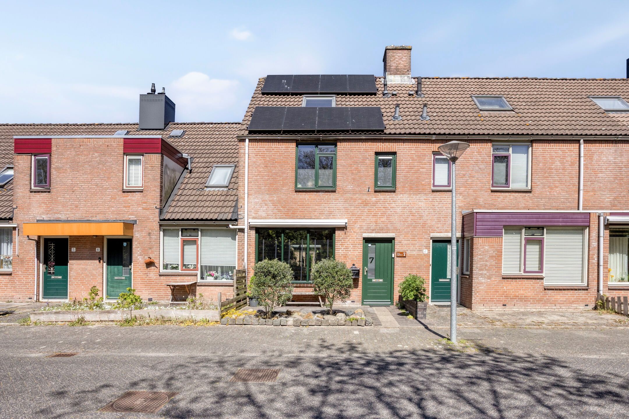 Foto van Paardebloem 7, Zwaag