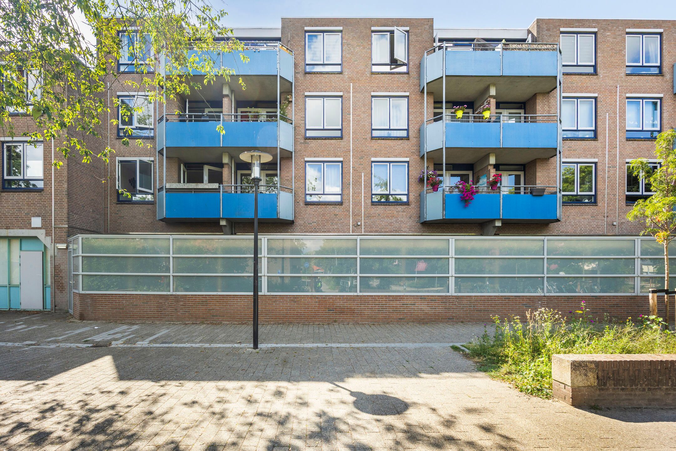 Foto van Korenbloem 66, Zwaag