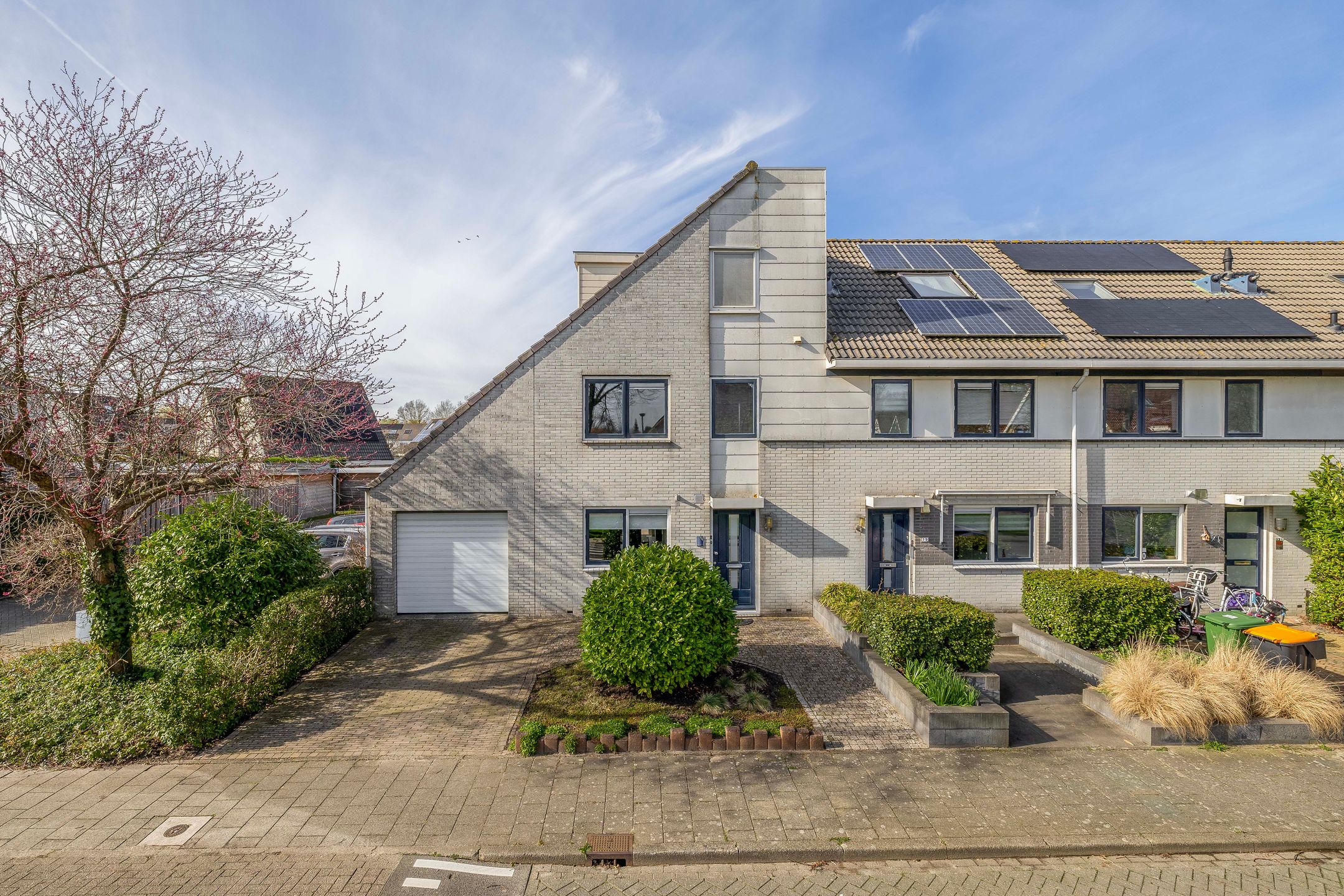 Foto van Woestijnvaraan 17, Heerhugowaard