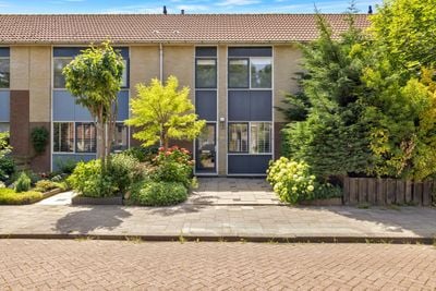 Foto van Brilbeer 44, Heerhugowaard