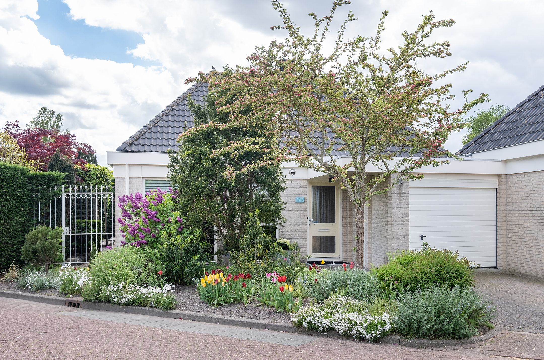 Foto van Dwergvinvis 28, Heerhugowaard