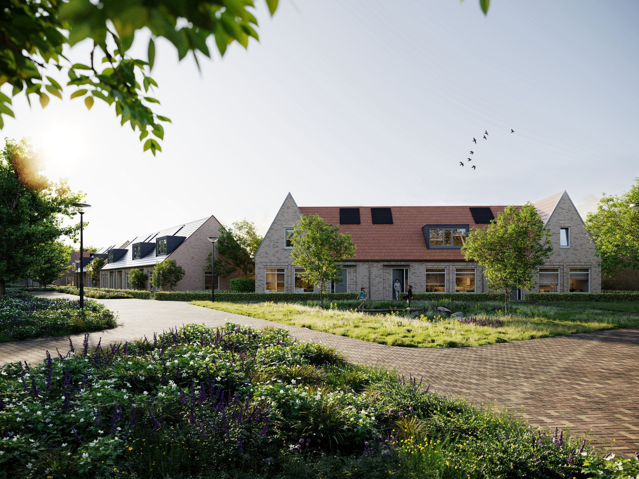 Foto van Scholekster erf 8, Heerhugowaard