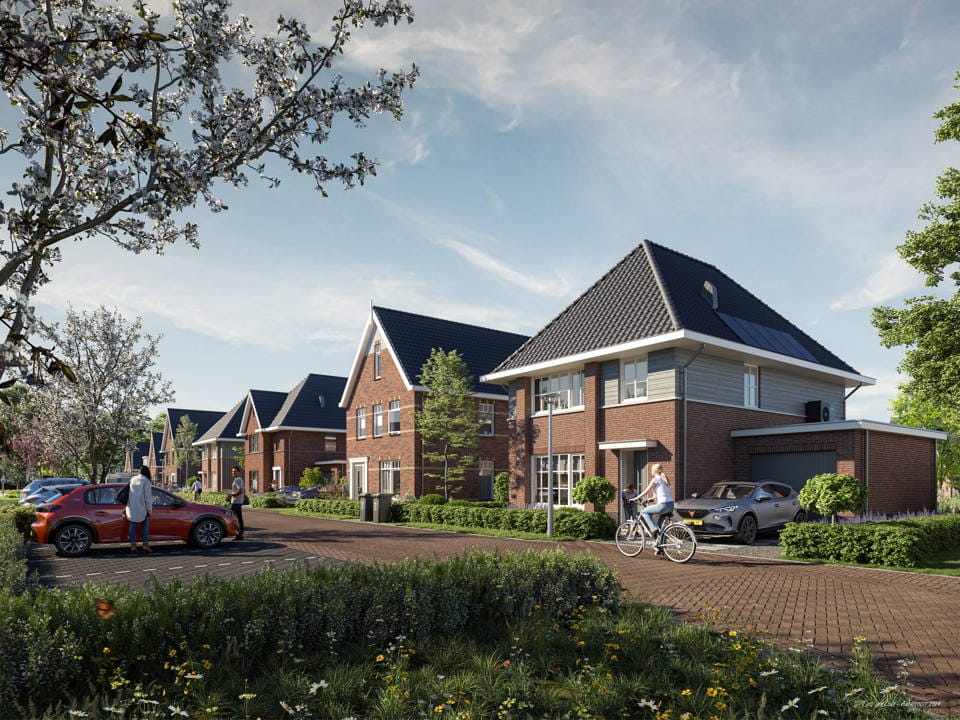 Foto van Madelief 6, 't Veld