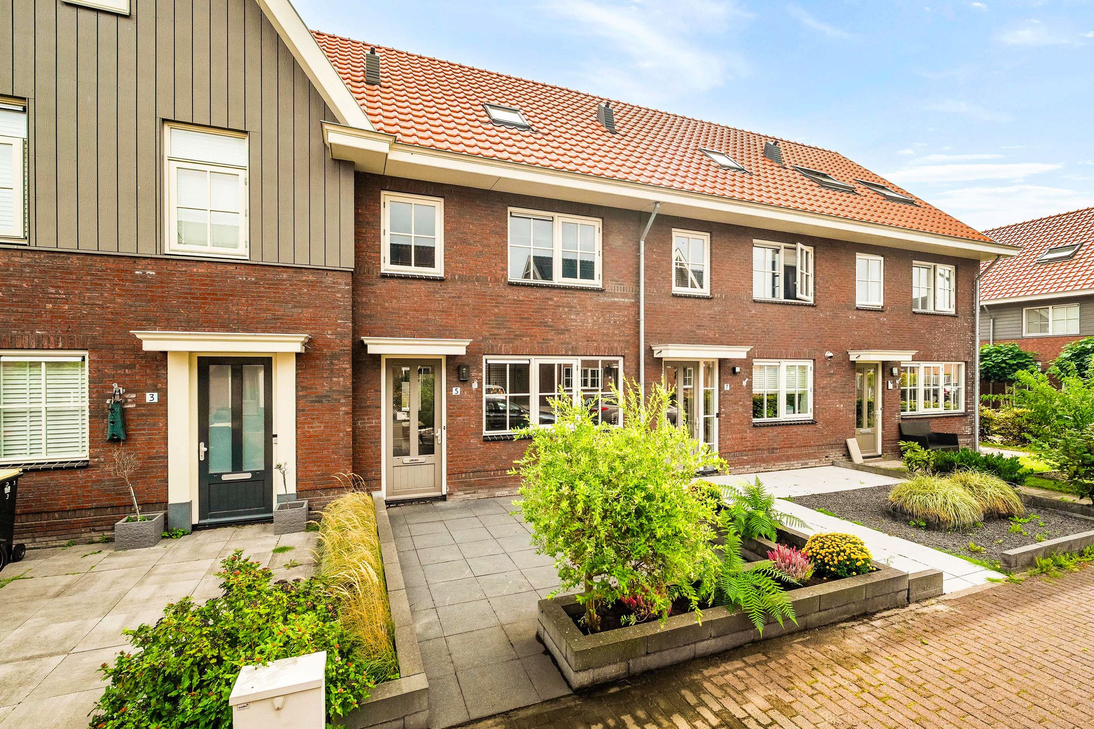 Foto van Goudhaver 5, Anna Paulowna