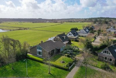 Foto van Orchismient 11, De Koog