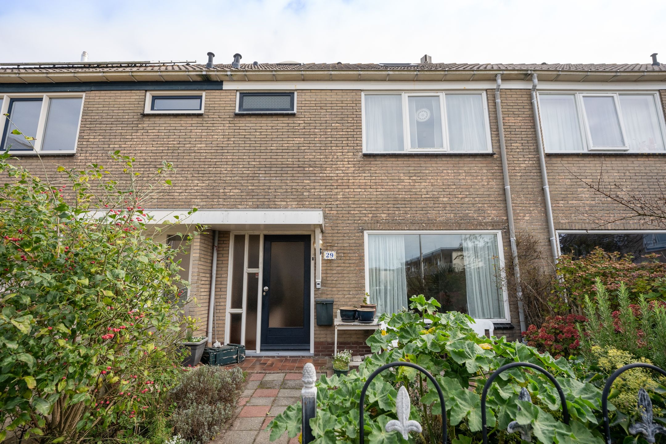 Foto van Wintergroen 29, De Koog