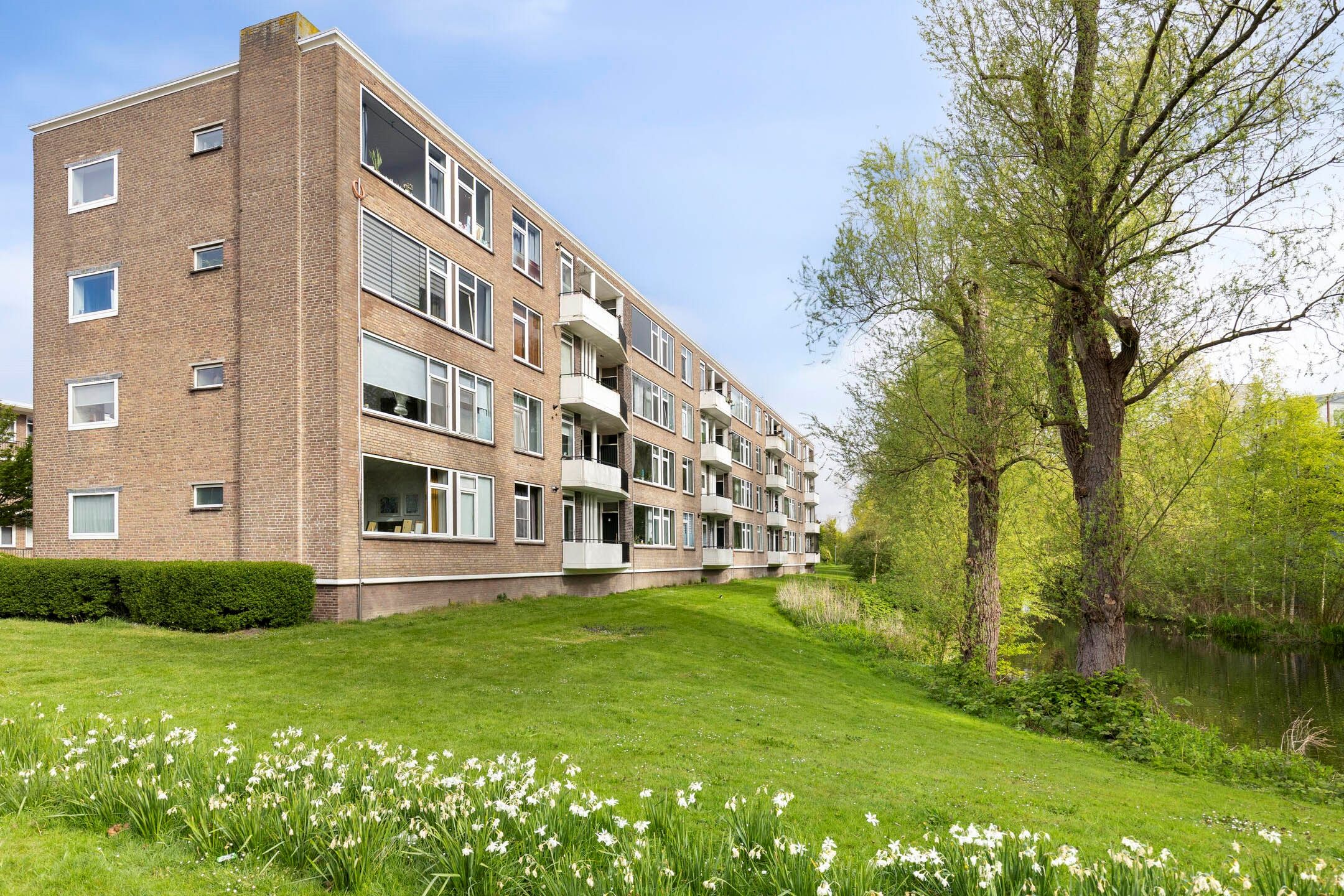 Foto van Stalpaertstraat 111, Alkmaar