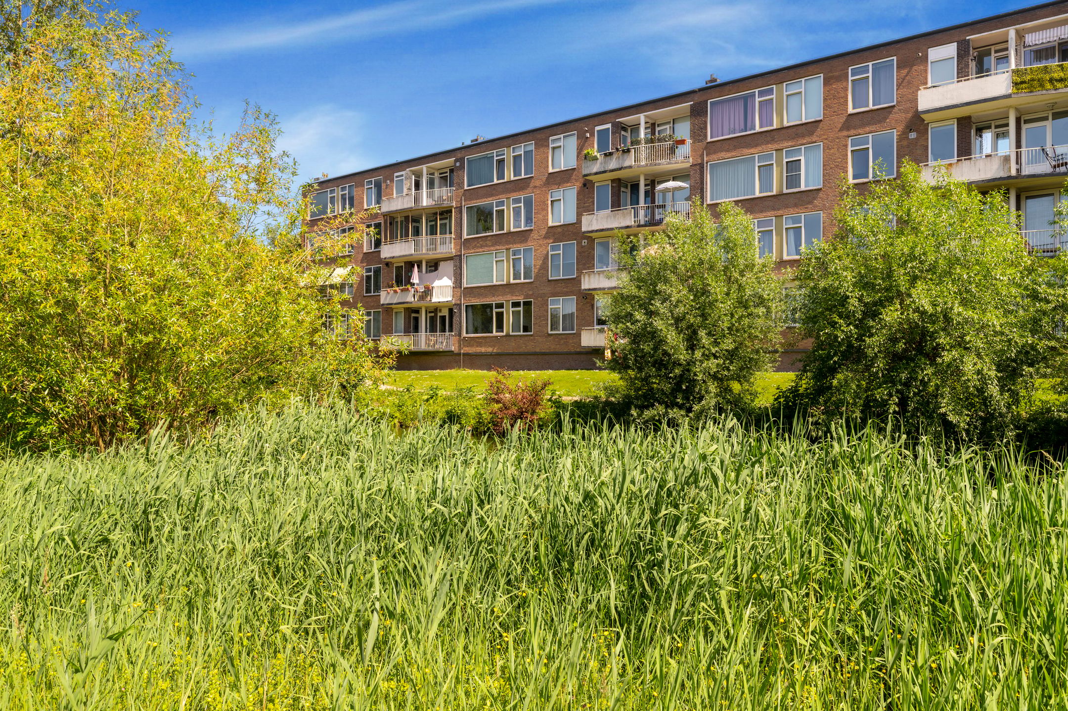 Foto van Asselijnstraat 18, Alkmaar