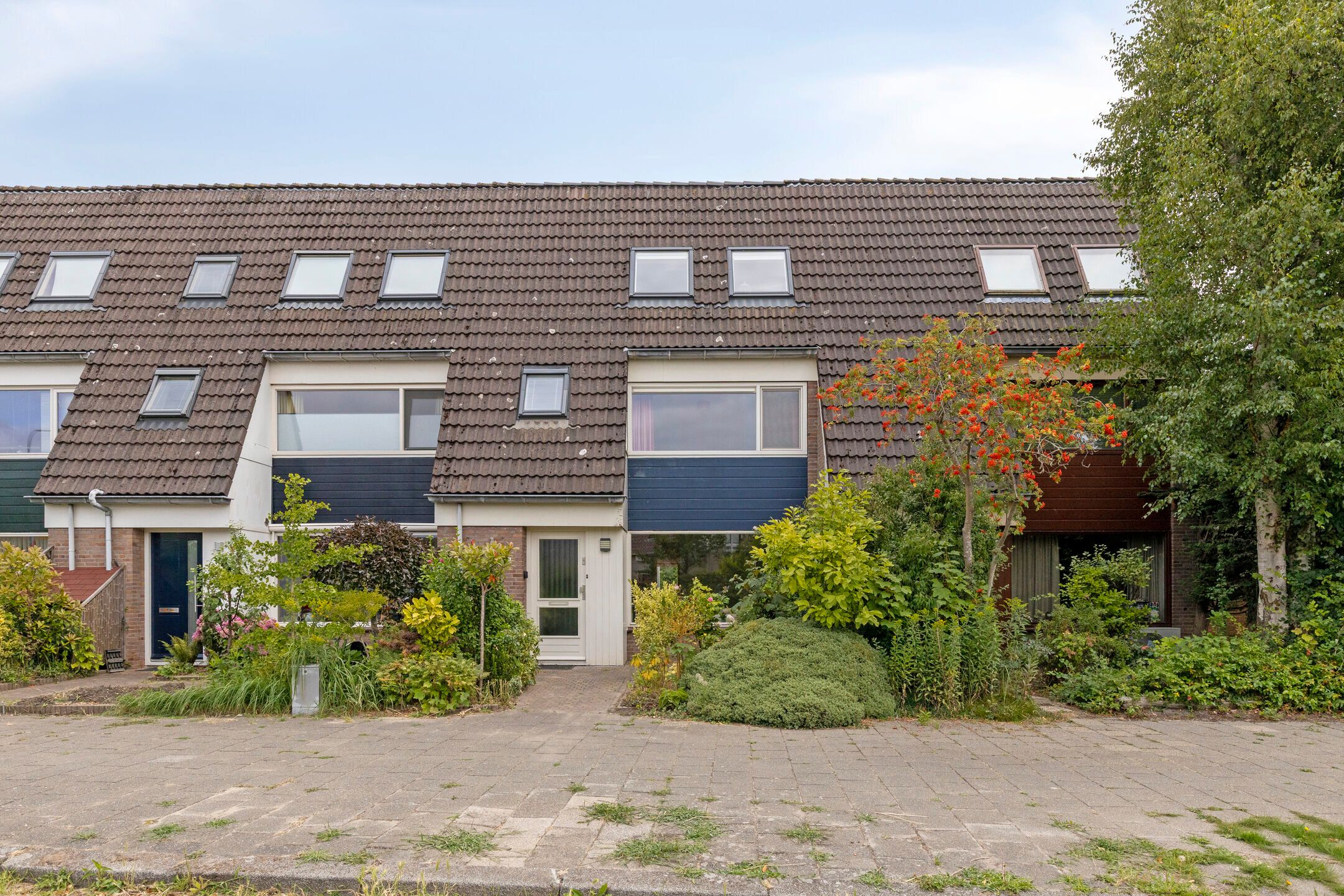Foto van Zwanebloem 7, Castricum