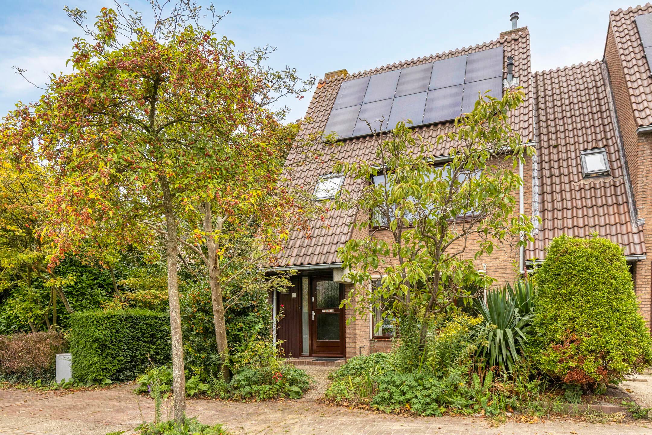 Foto van Droogbloem 1, Castricum