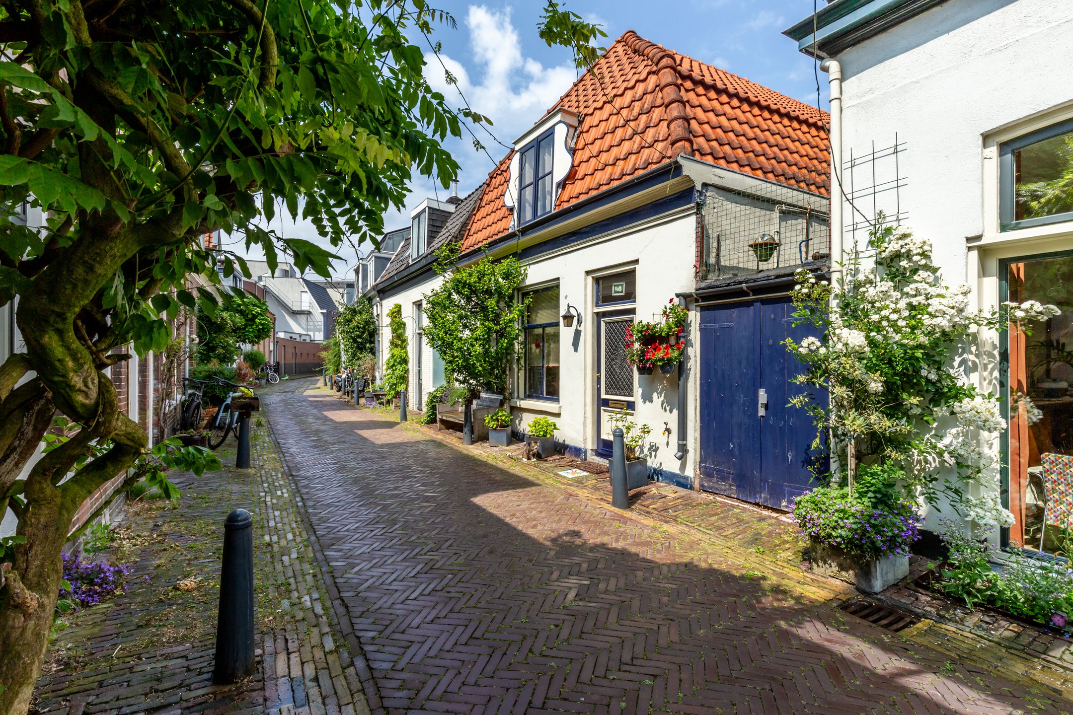 Foto van Bloemertstraat 5, Haarlem