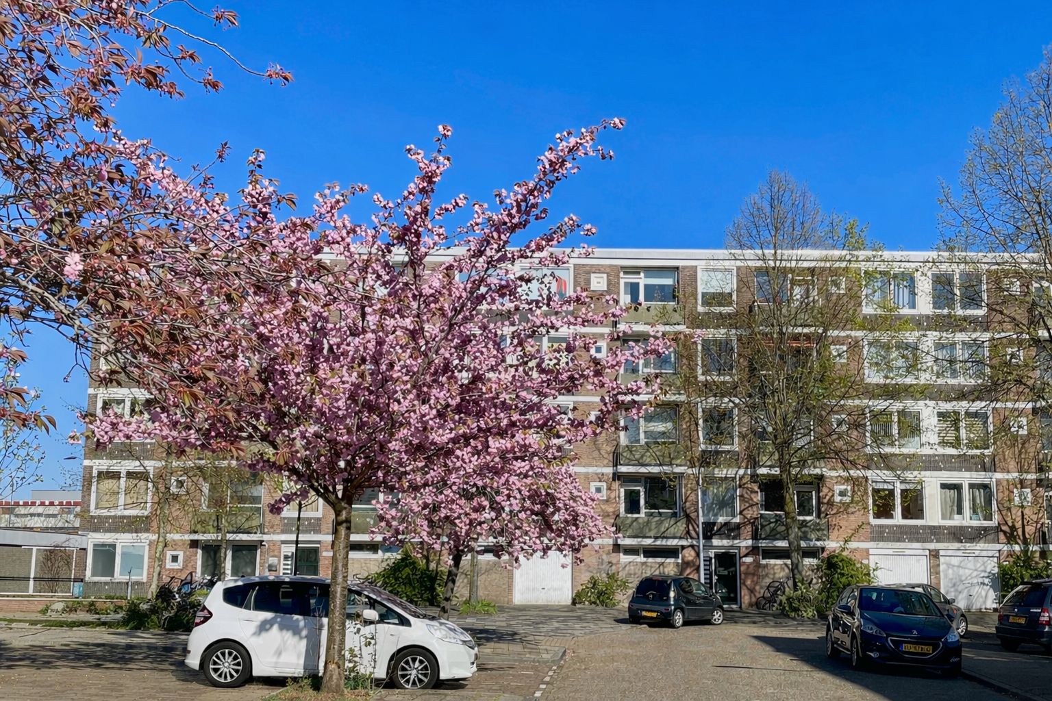 Foto van Ruslandstraat 25, Haarlem