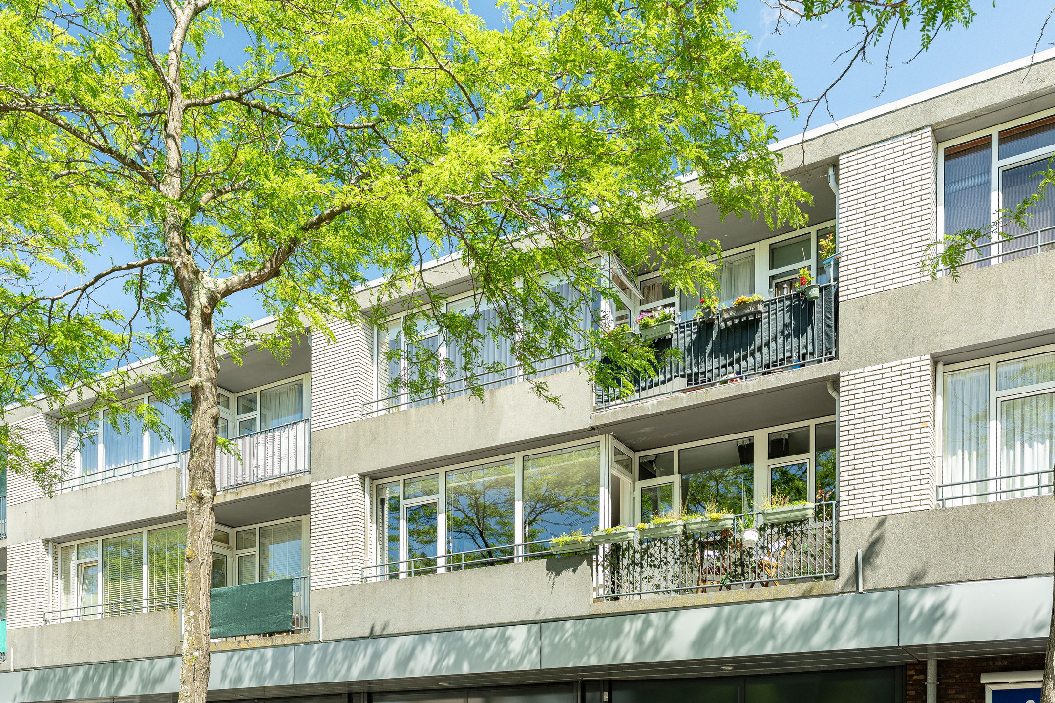 Foto van William Harveystraat 20, Haarlem