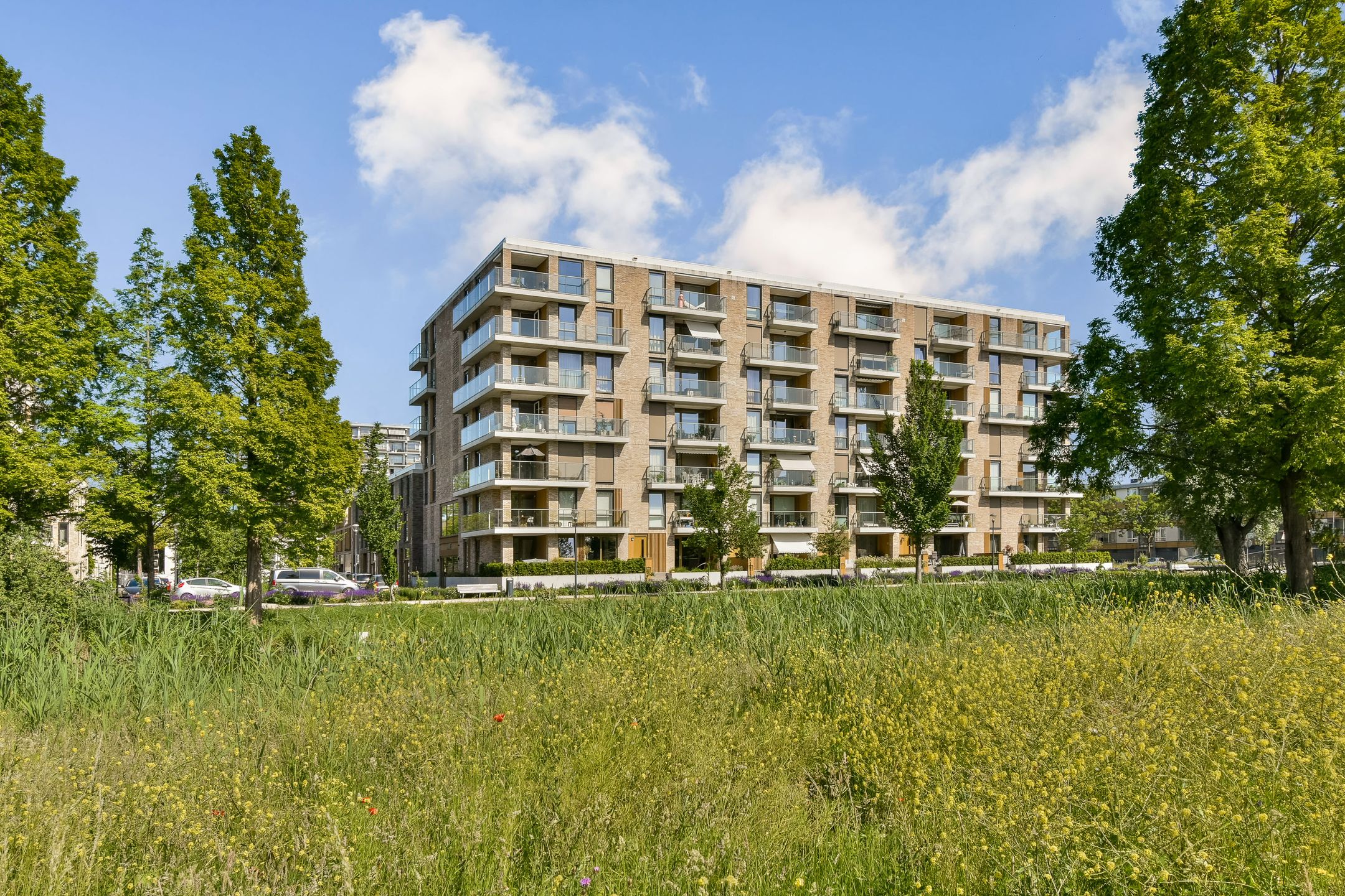 Foto van Anthony Roodvoetsstraat 87, Haarlem