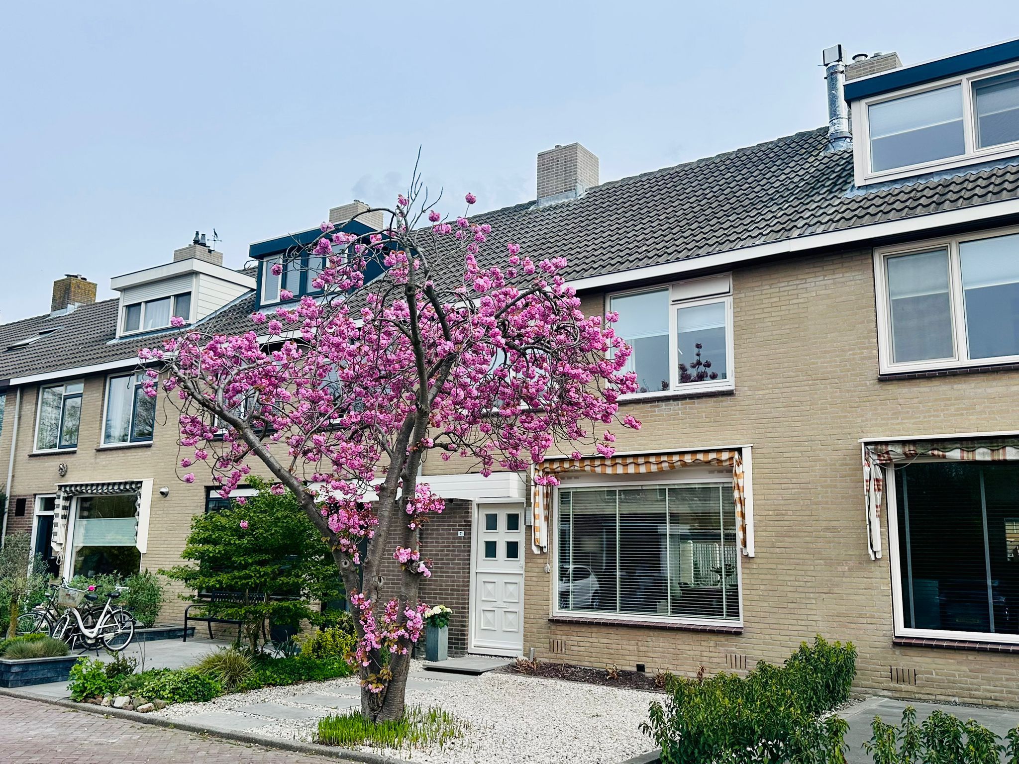 Foto van Kagertuinen 71, Sassenheim