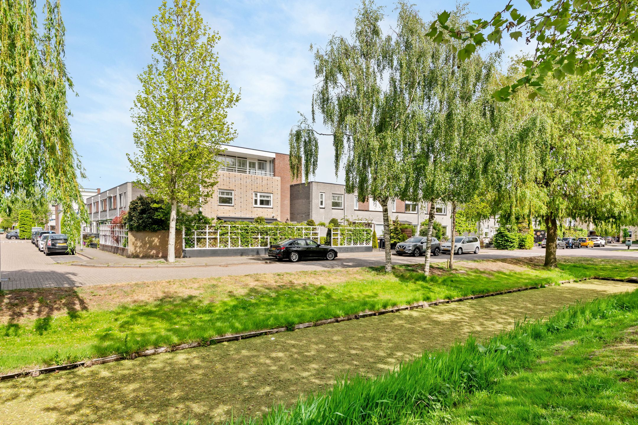 Foto van Lupine 11, Noordwijkerhout