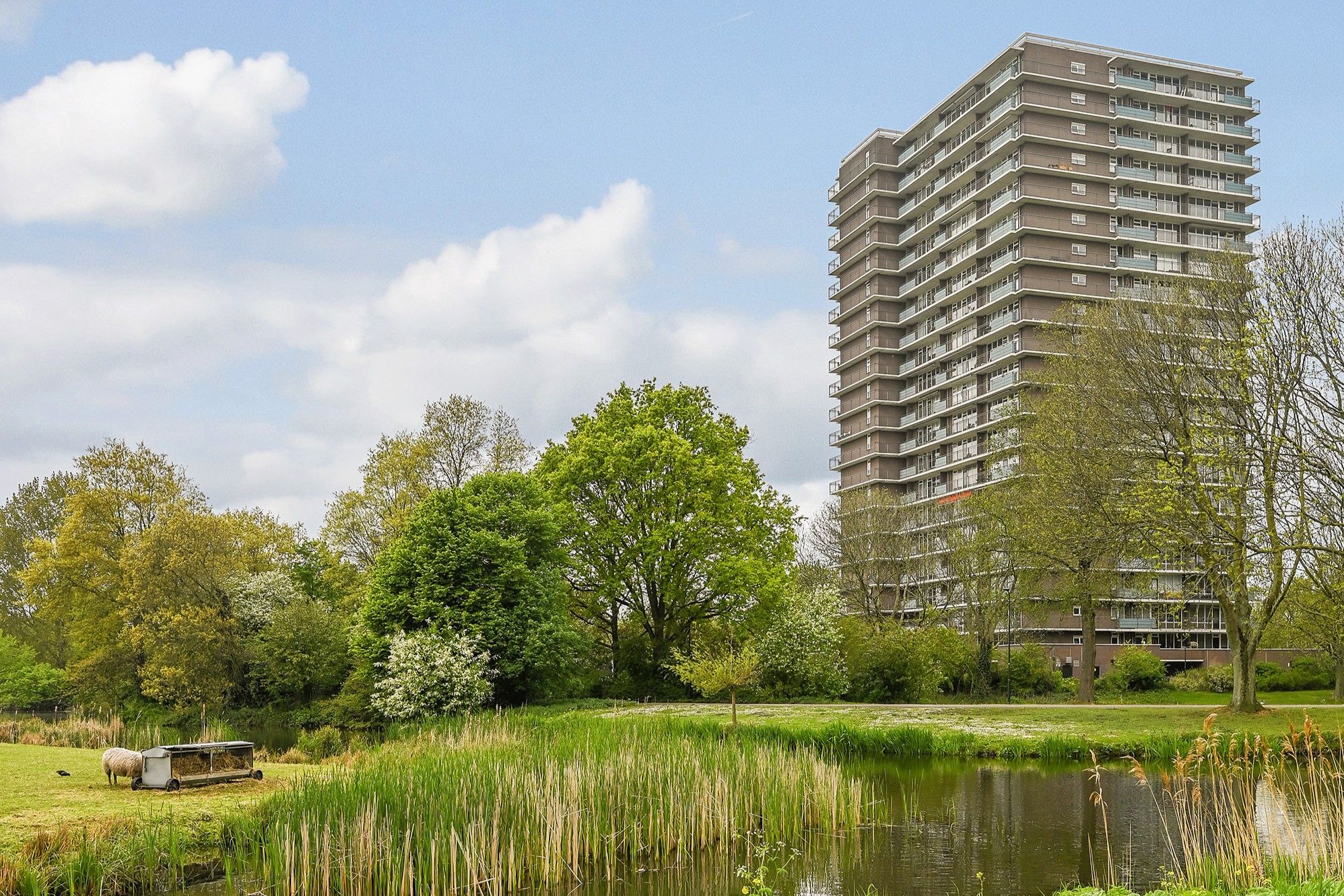Foto van Rodelaan 371, Voorburg