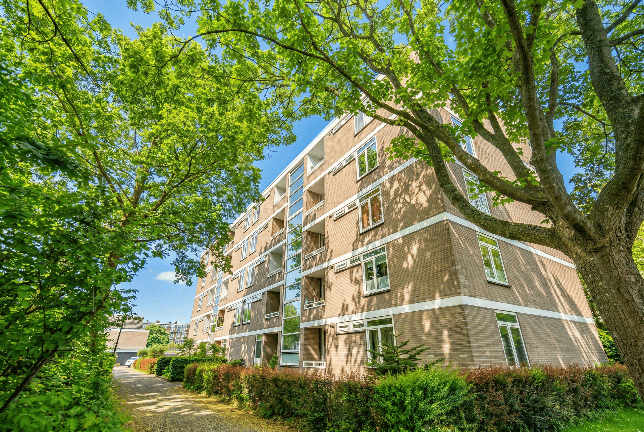 Foto van Mozartstraat 259, Leiden