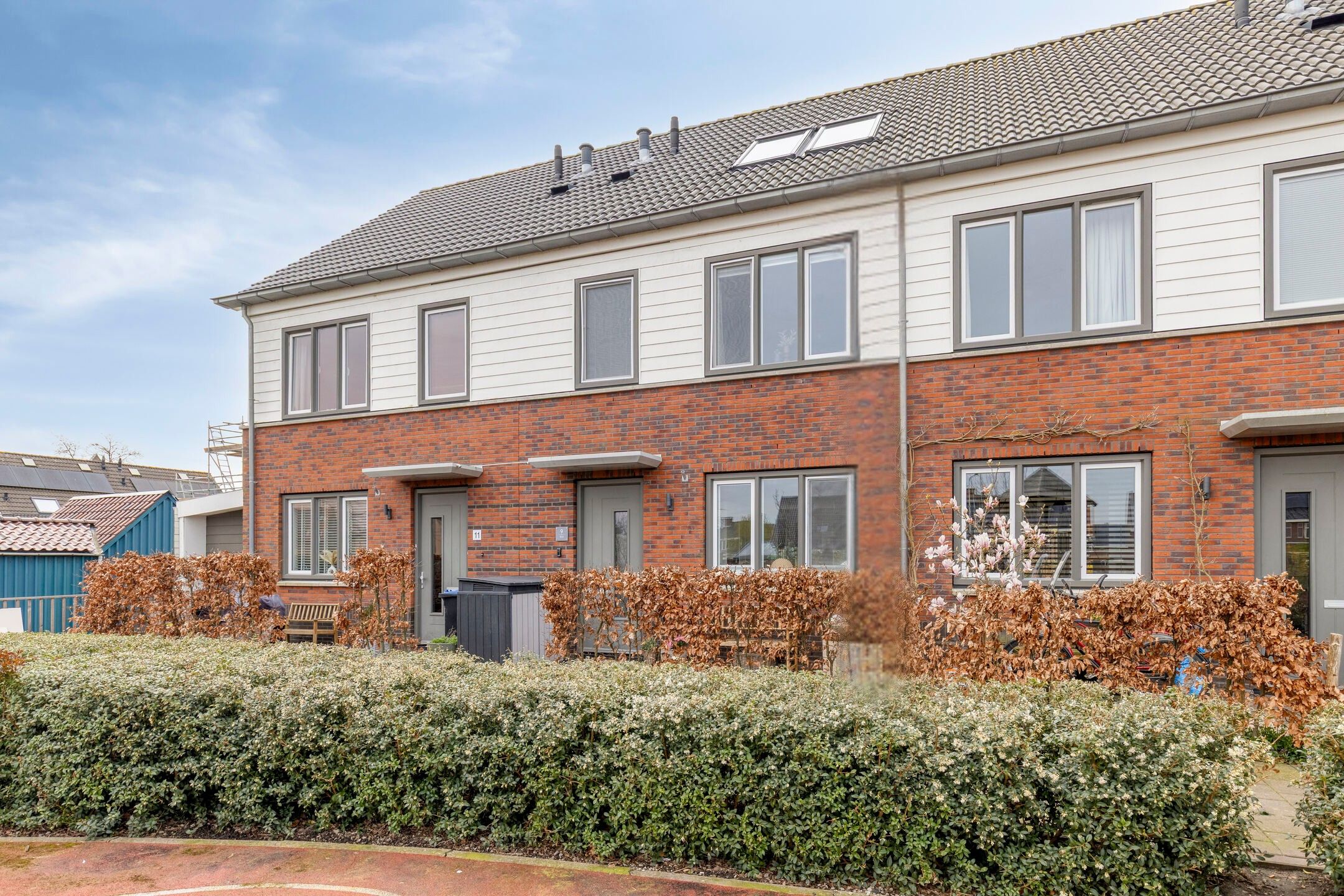 Foto van Aardpeer 9, Roelofarendsveen