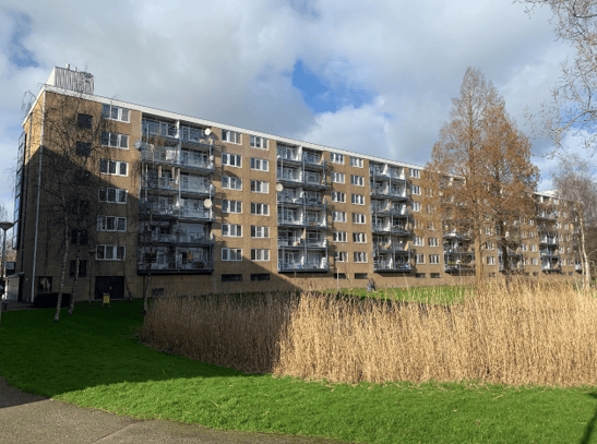 Foto van Argostraat 232, Alphen aan den Rijn