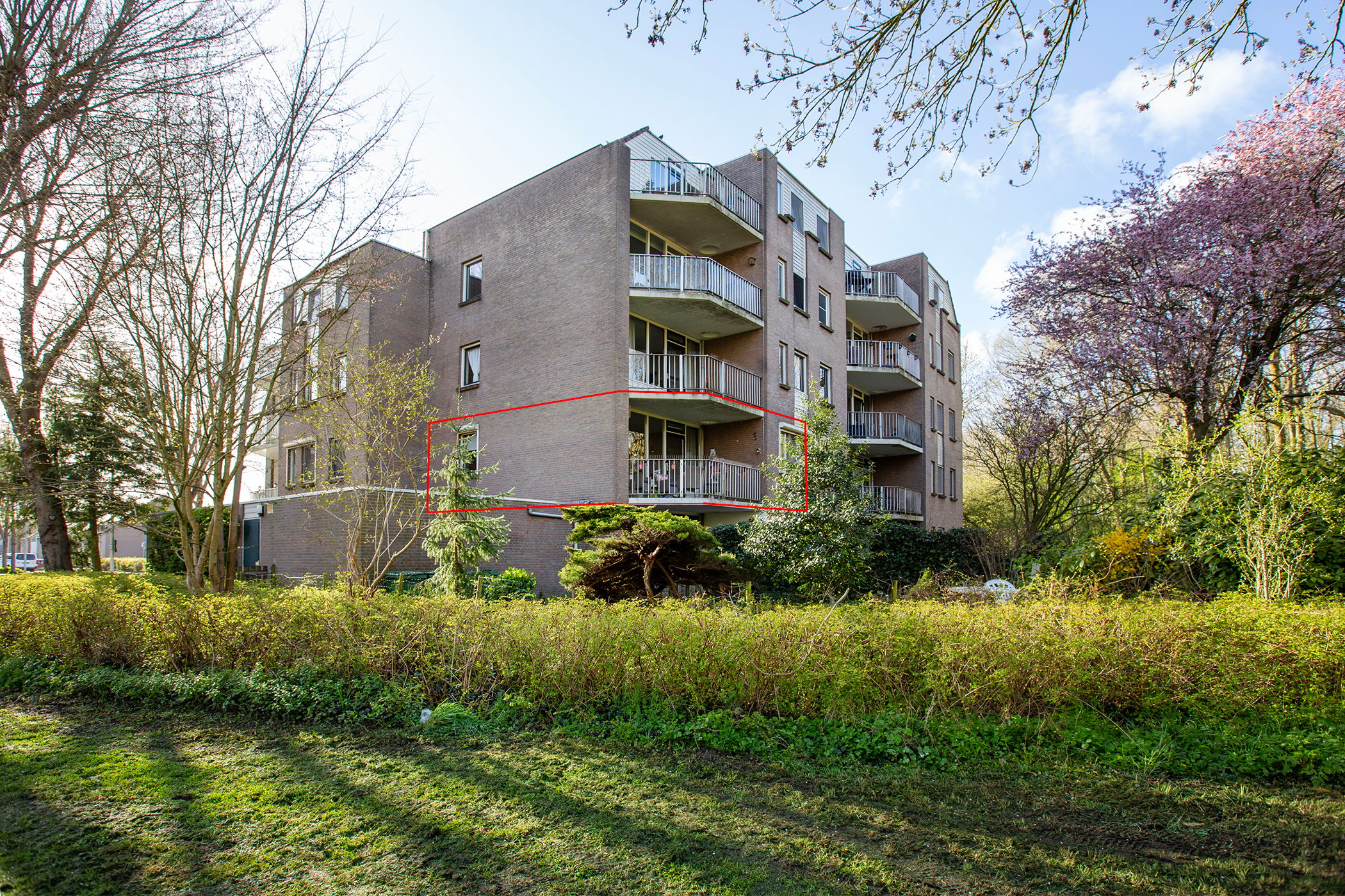 Foto van Koraalzwam 167, Alphen aan den Rijn