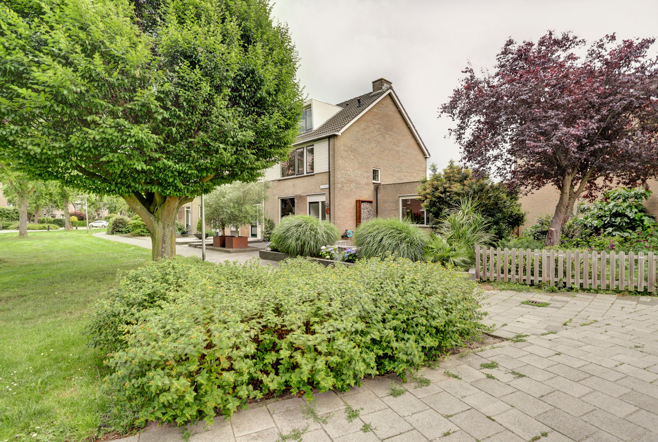 Foto van Goudplevier 1, Bodegraven