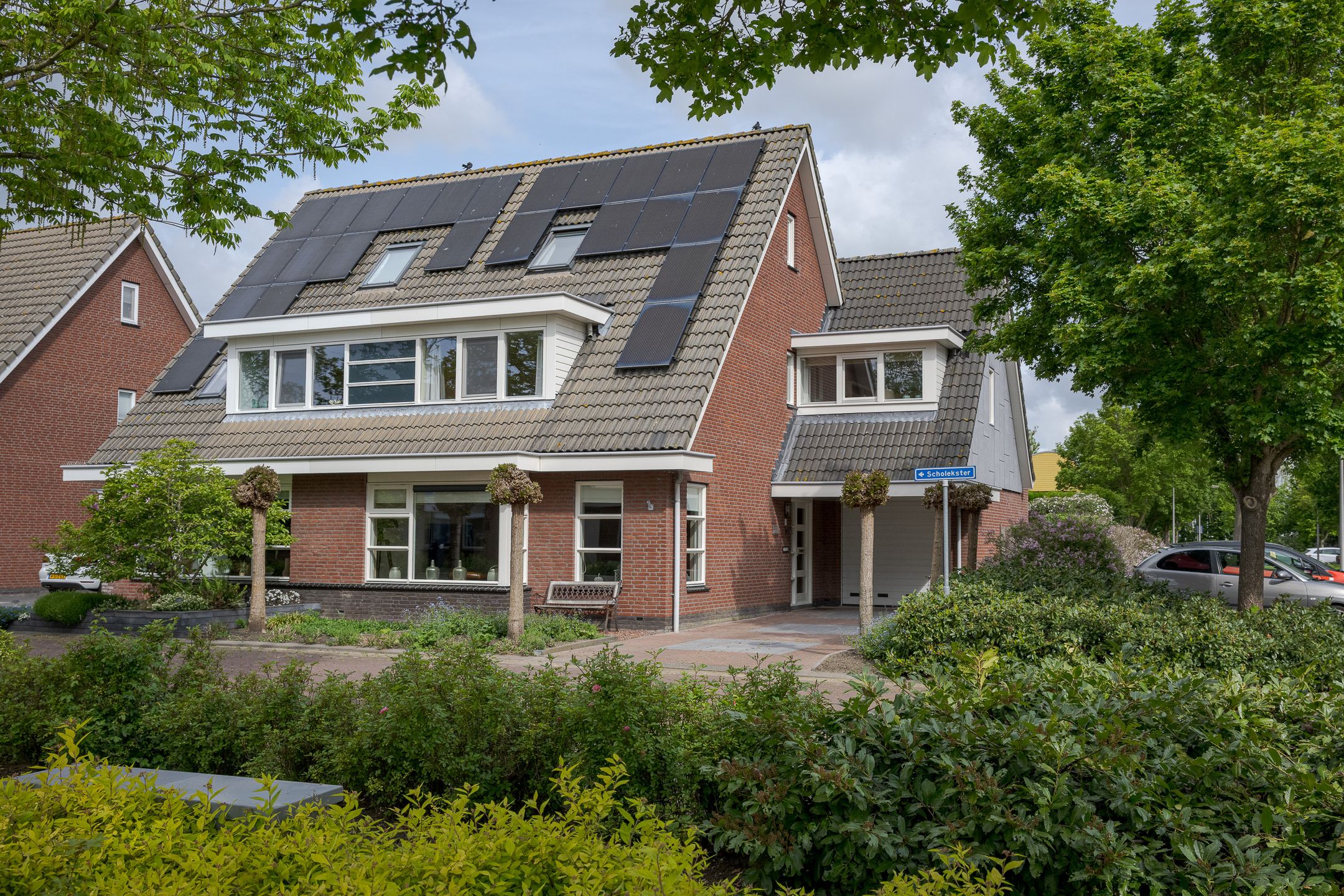 Foto van Scholekster 1, Leimuiden
