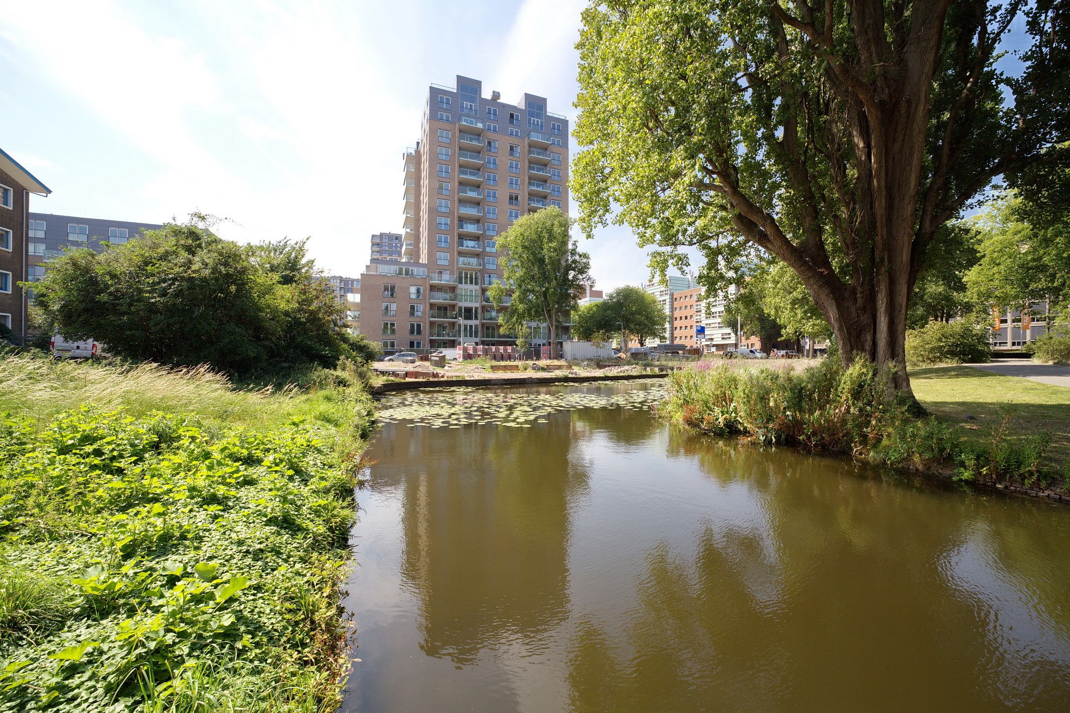 Foto van Stadhoudersplantsoen 246A, Den Haag
