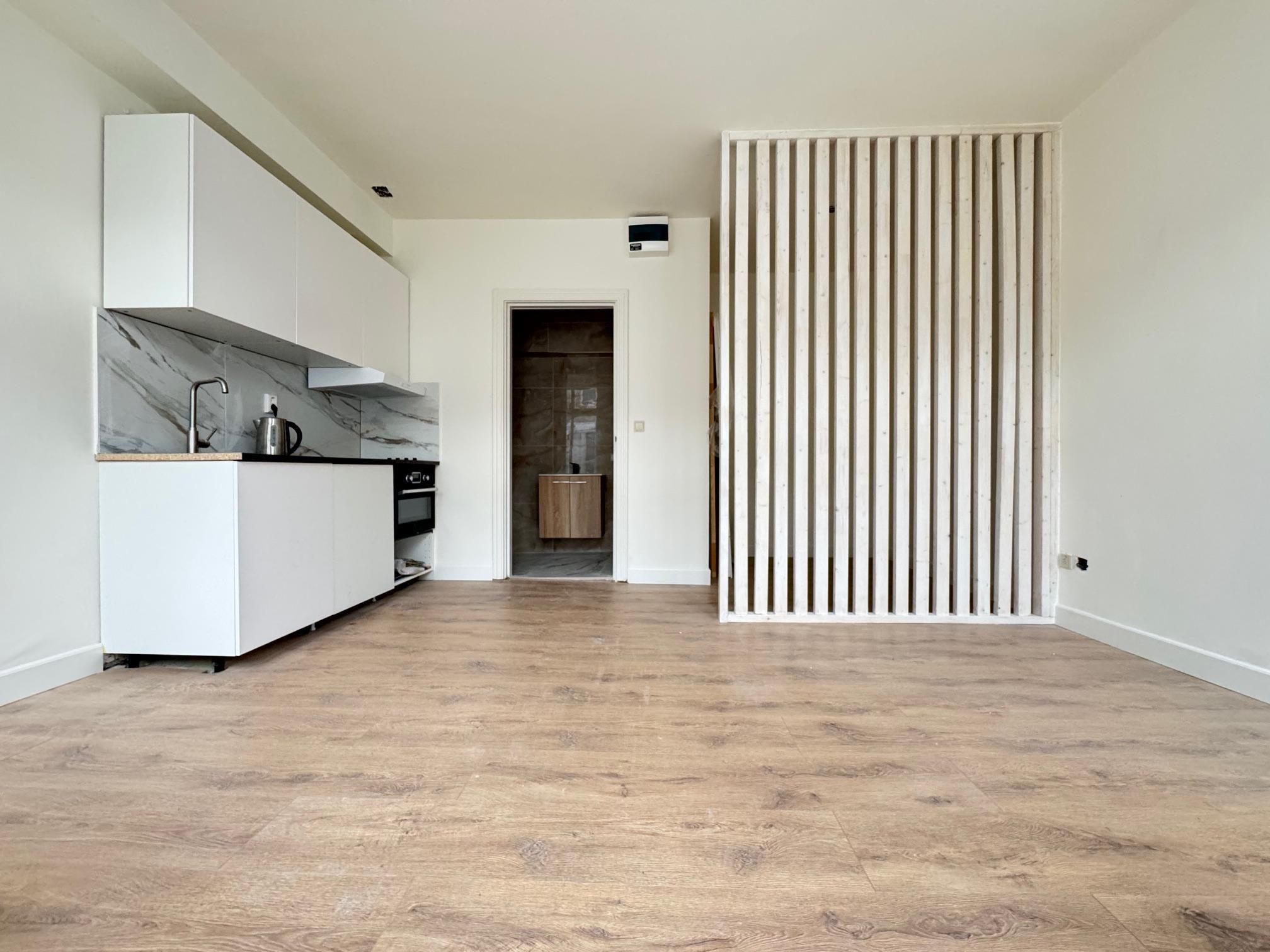 Foto van Paulus Potterstraat 167D, Den Haag