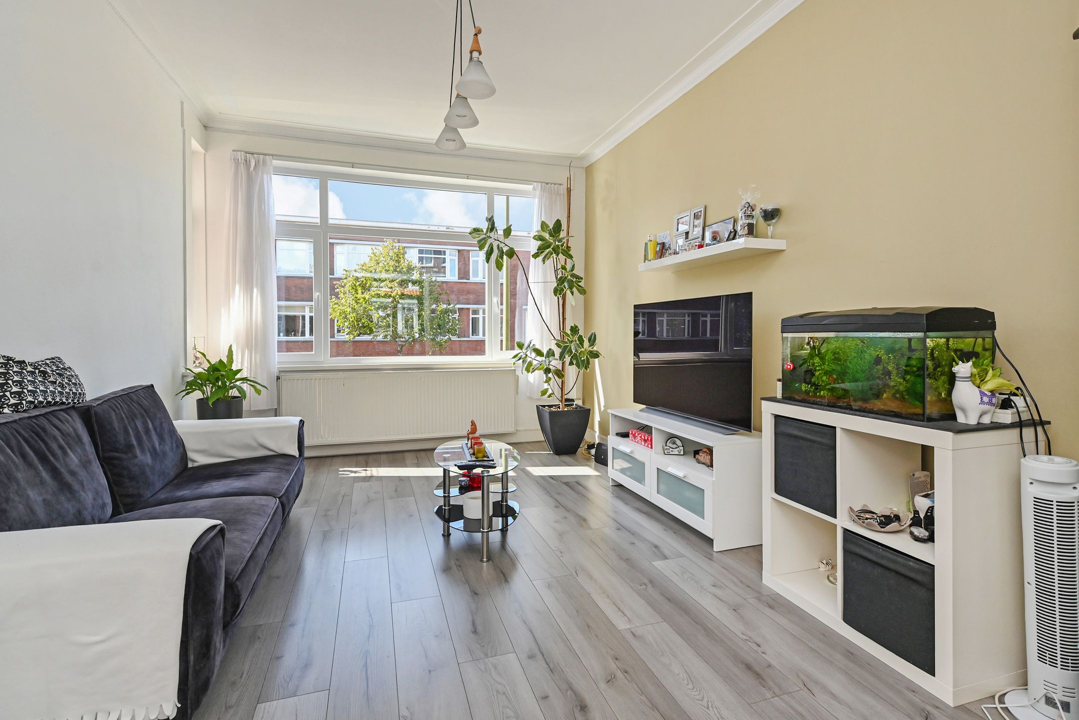 Foto van Driebergenstraat 206, Den Haag