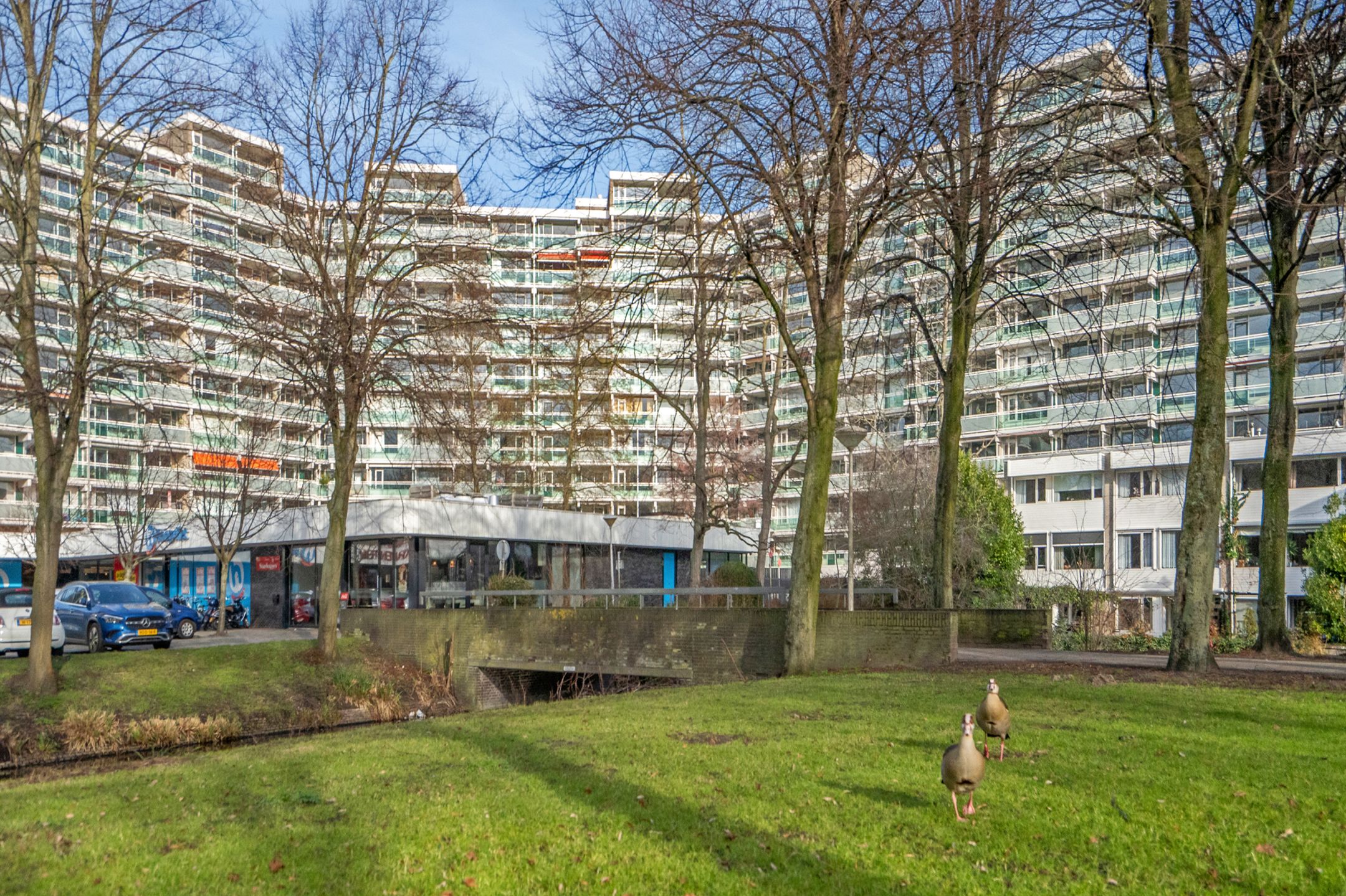 Foto van Forellendaal 708, Den Haag